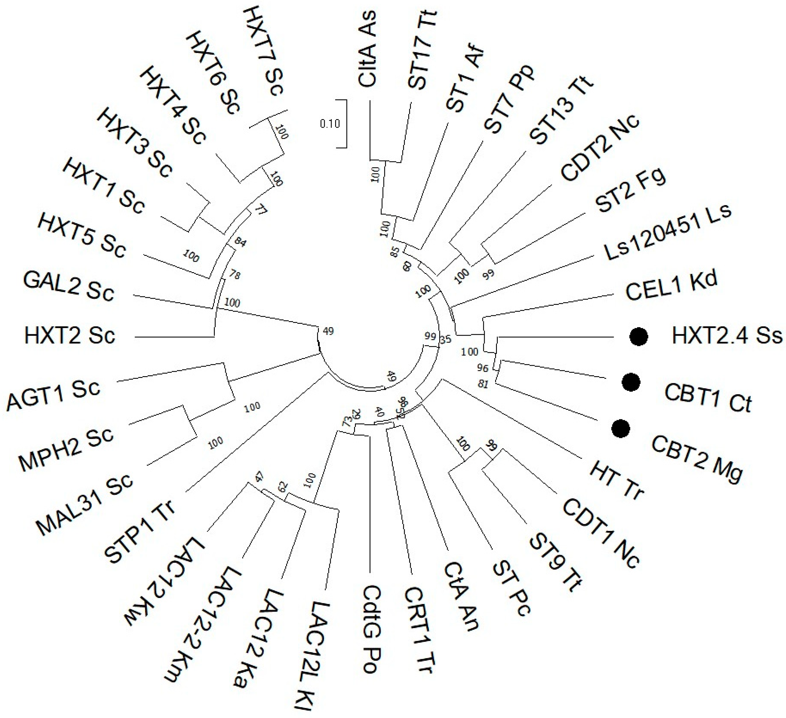 Fermentation 10 00490 g008 Fermentation 10 00490 g008