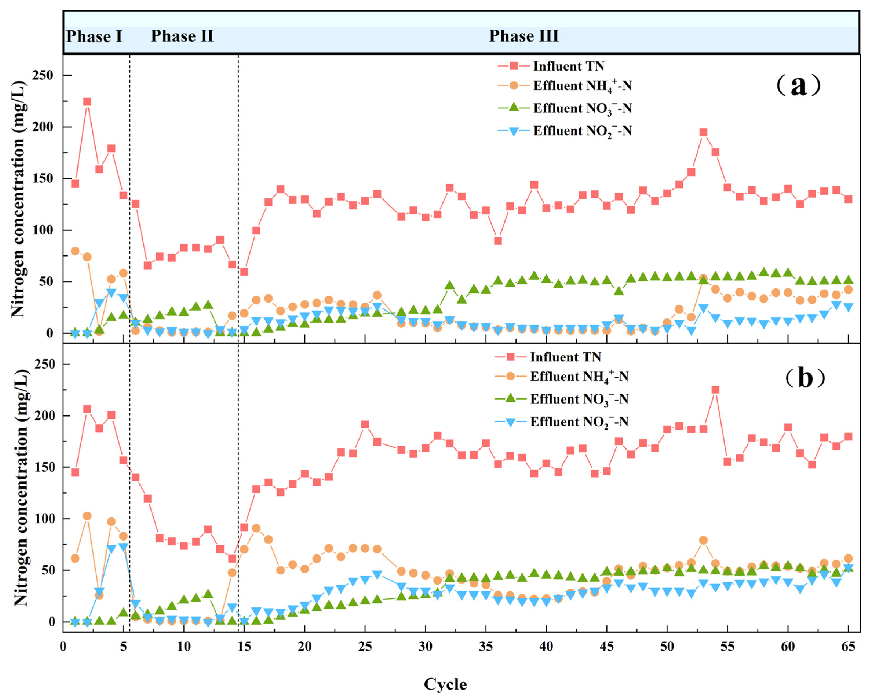 Fermentation 10 00548 g001