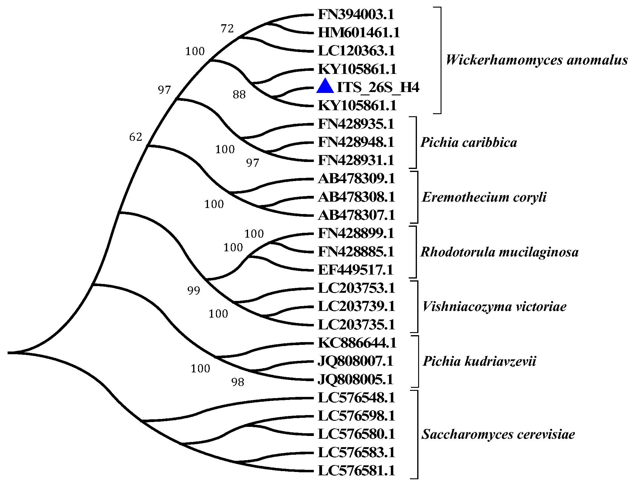 Fermentation 10 00563 g002