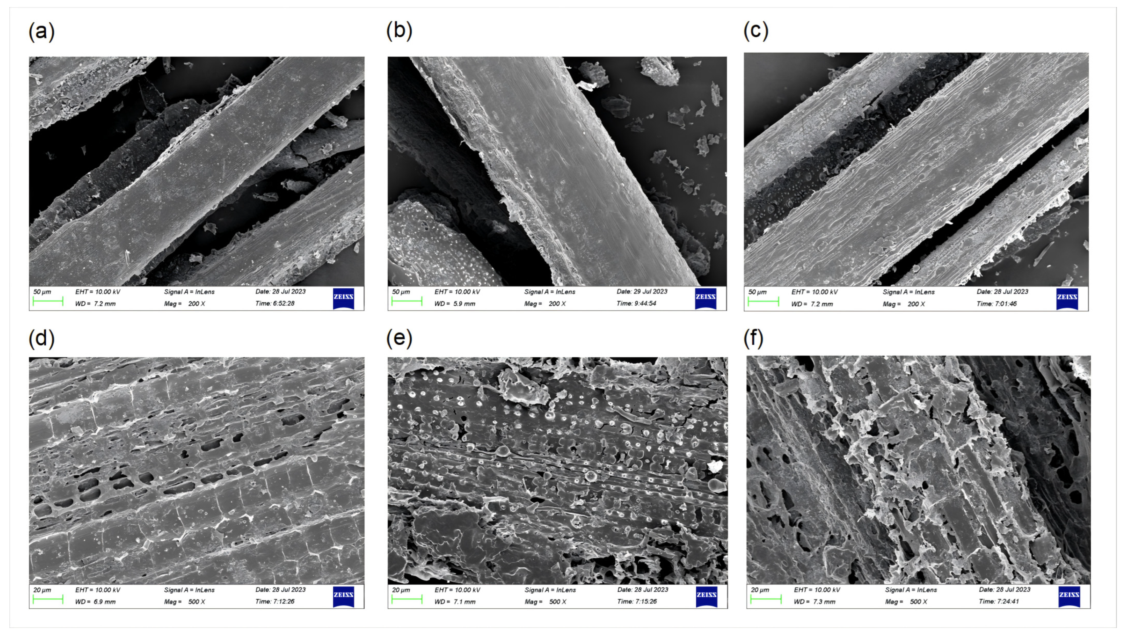 Fermentation 10 00567 g002
