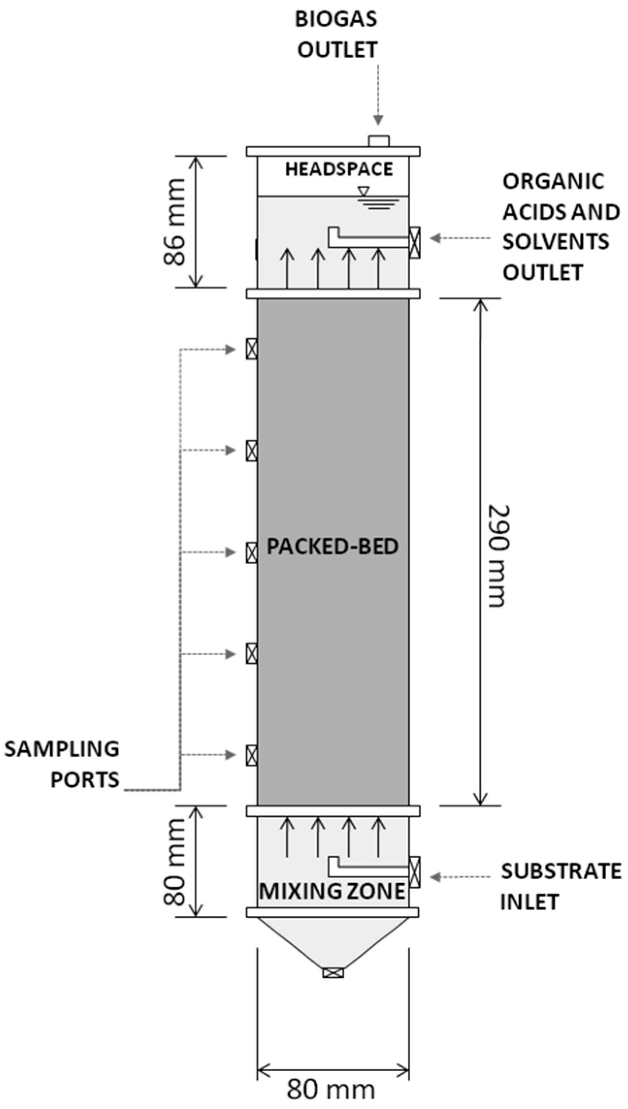 Fermentation 10 00586 g001