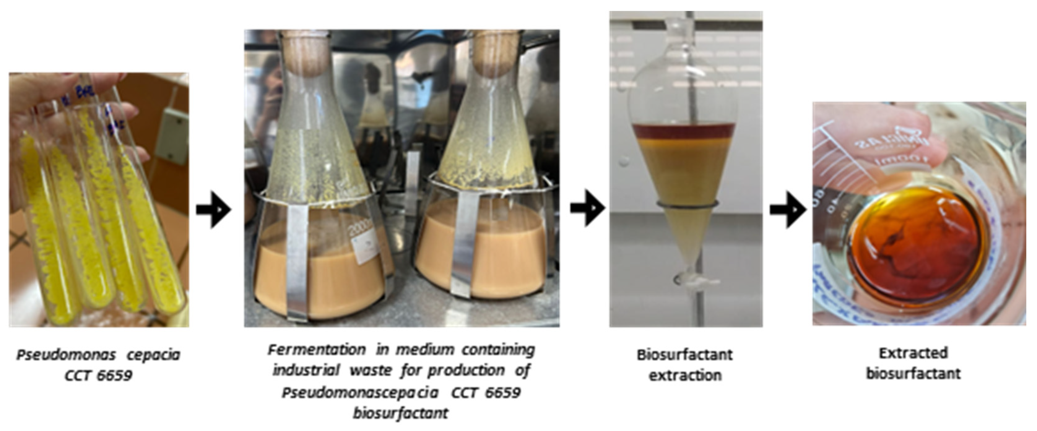 Fermentation 10 00602 g001 Fermentation 10 00602 g001