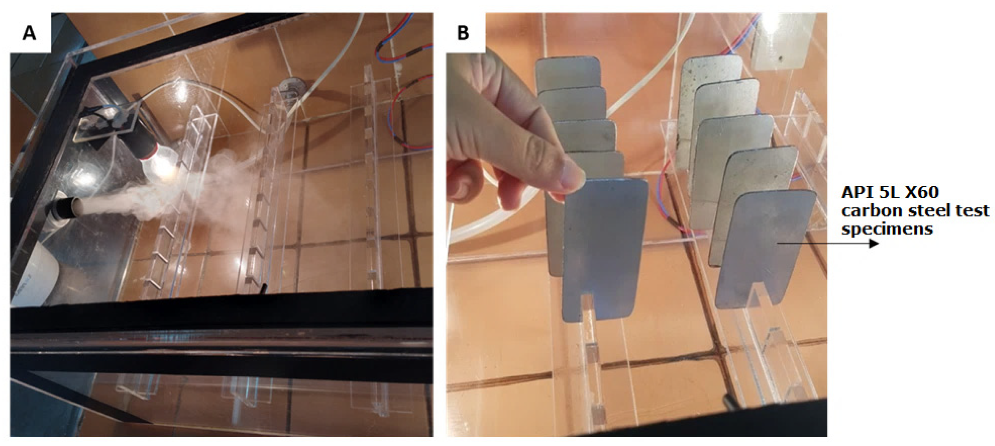Fermentation 10 00602 g003 Fermentation 10 00602 g003