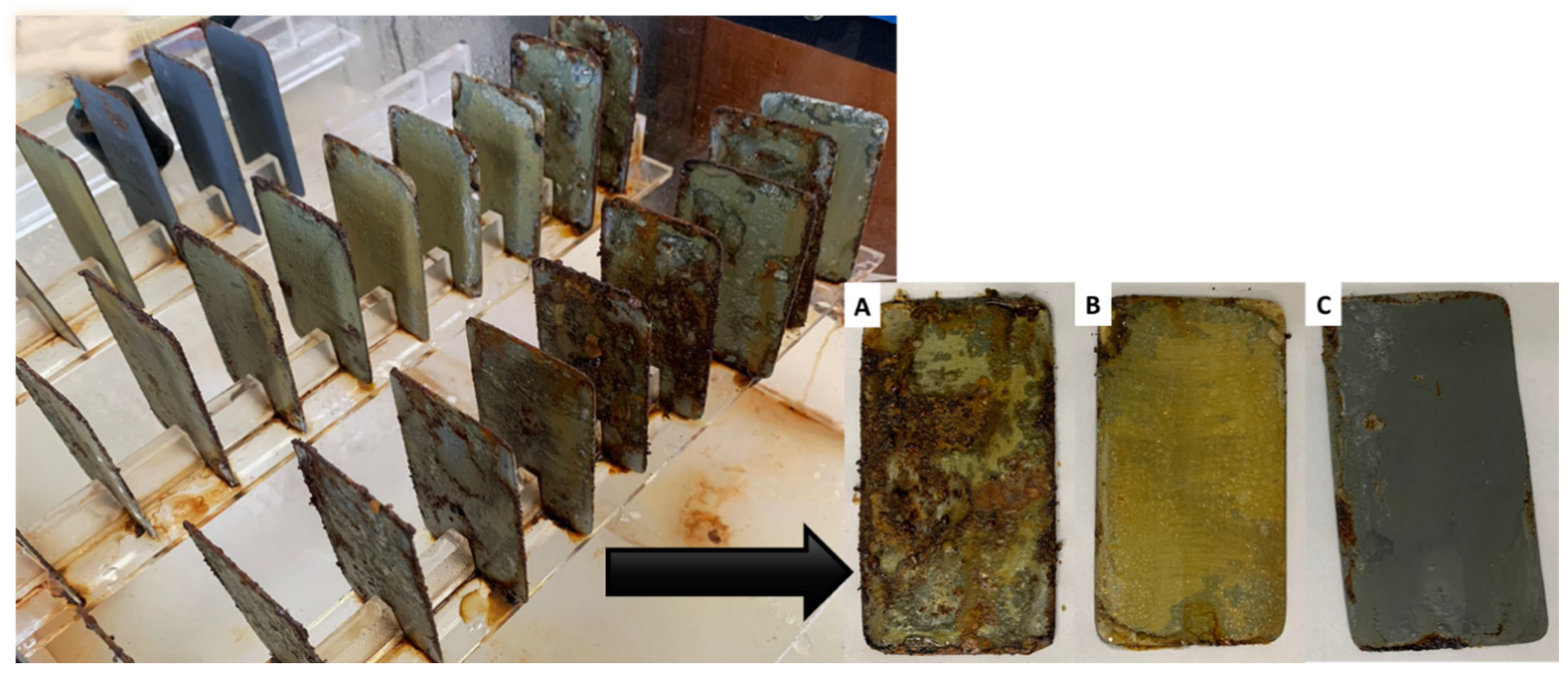 Fermentation 10 00602 g009 Fermentation 10 00602 g009