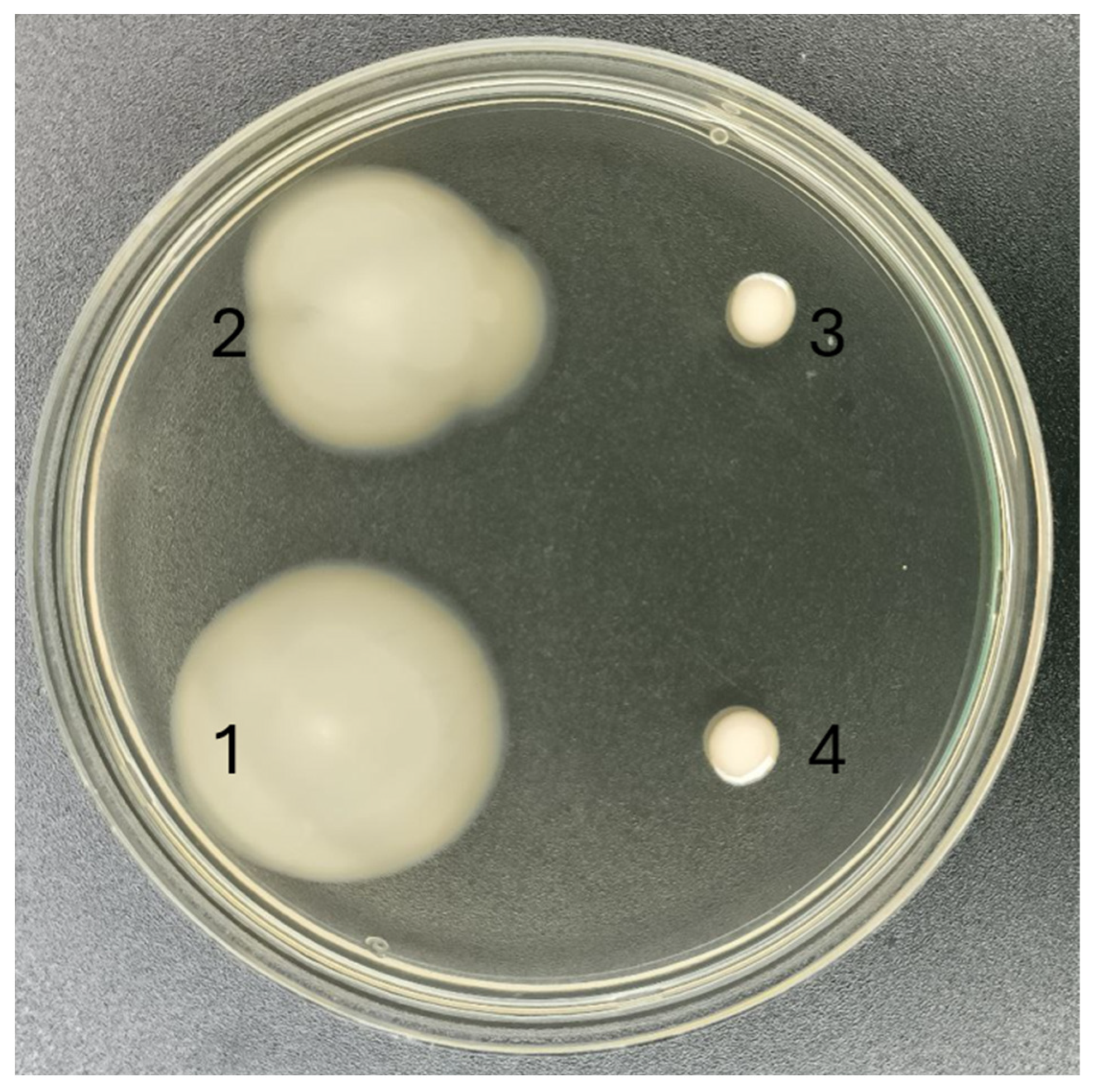 Fermentation 10 00606 g003