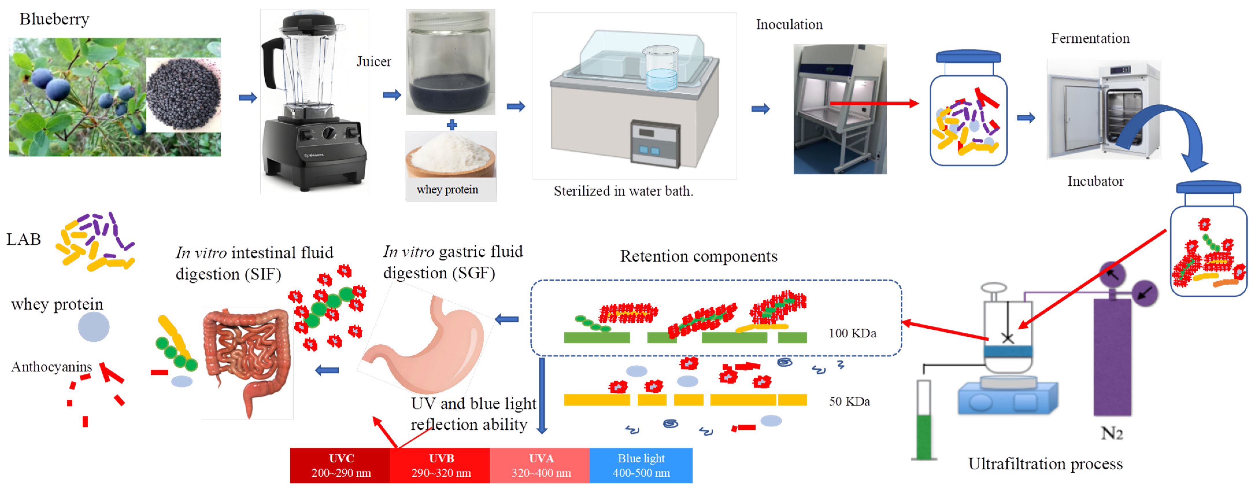 Fermentation 10 00609 sch001