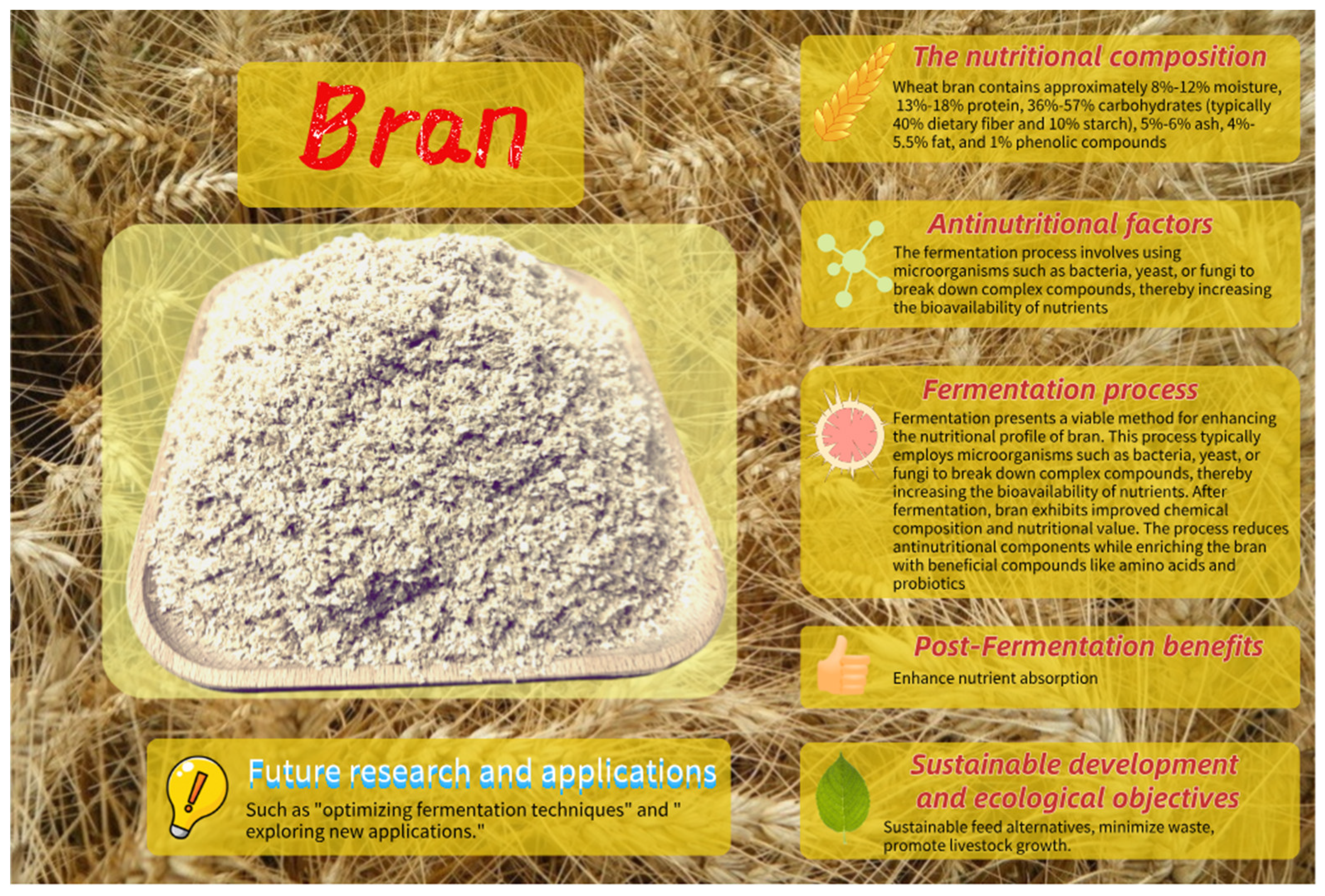 Fermentation 10 00611 g001