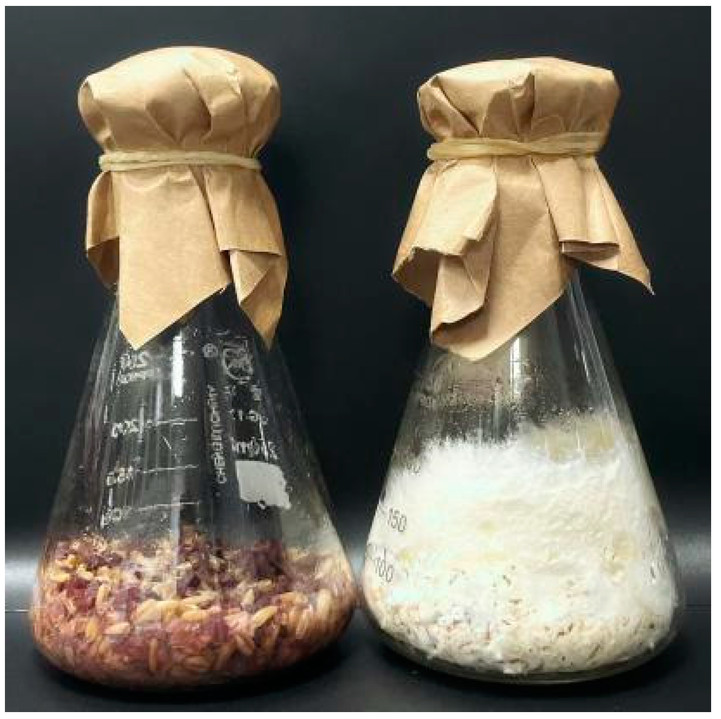 Fermentation 10 00618 g001