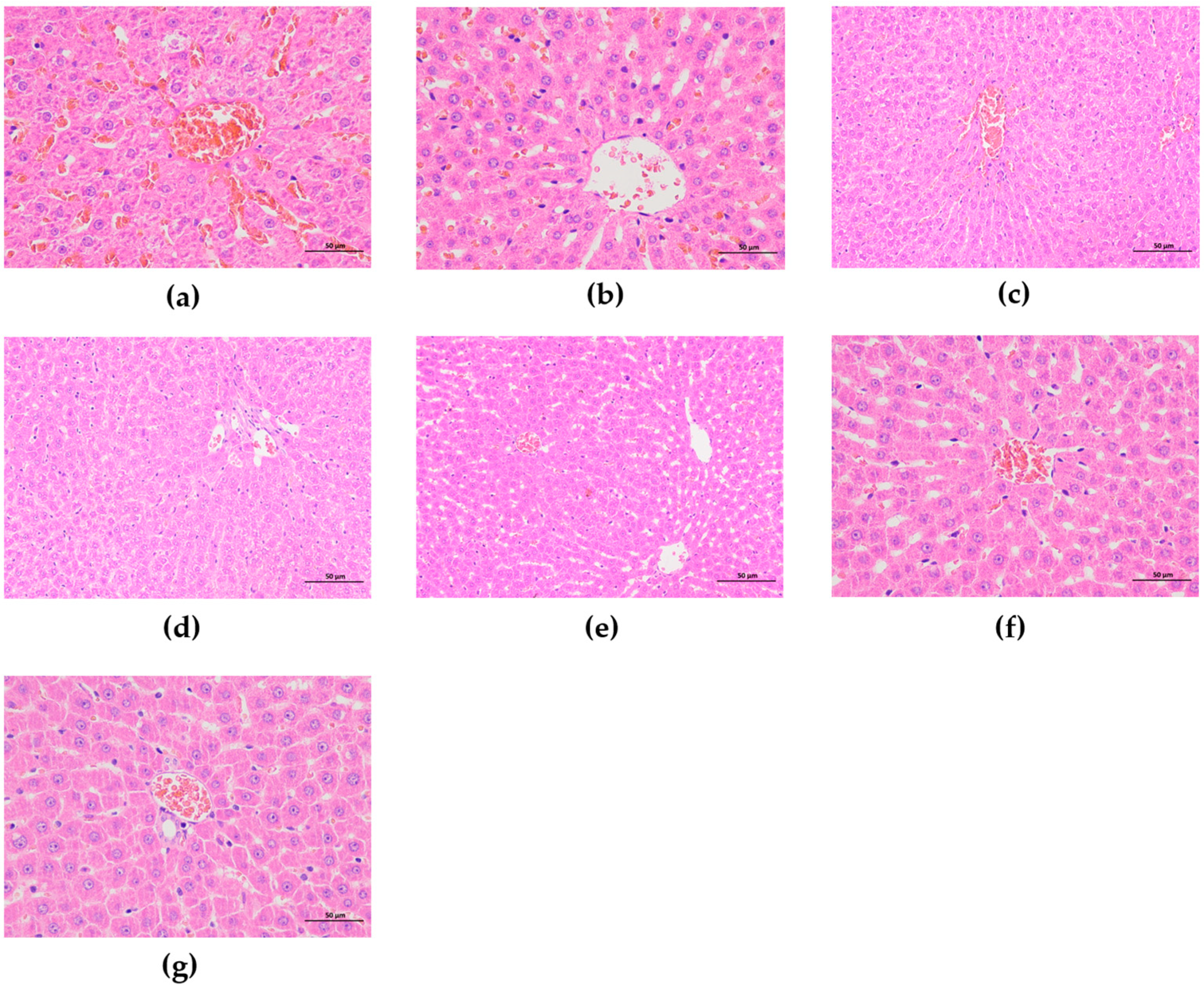 Fermentation 10 00618 g020