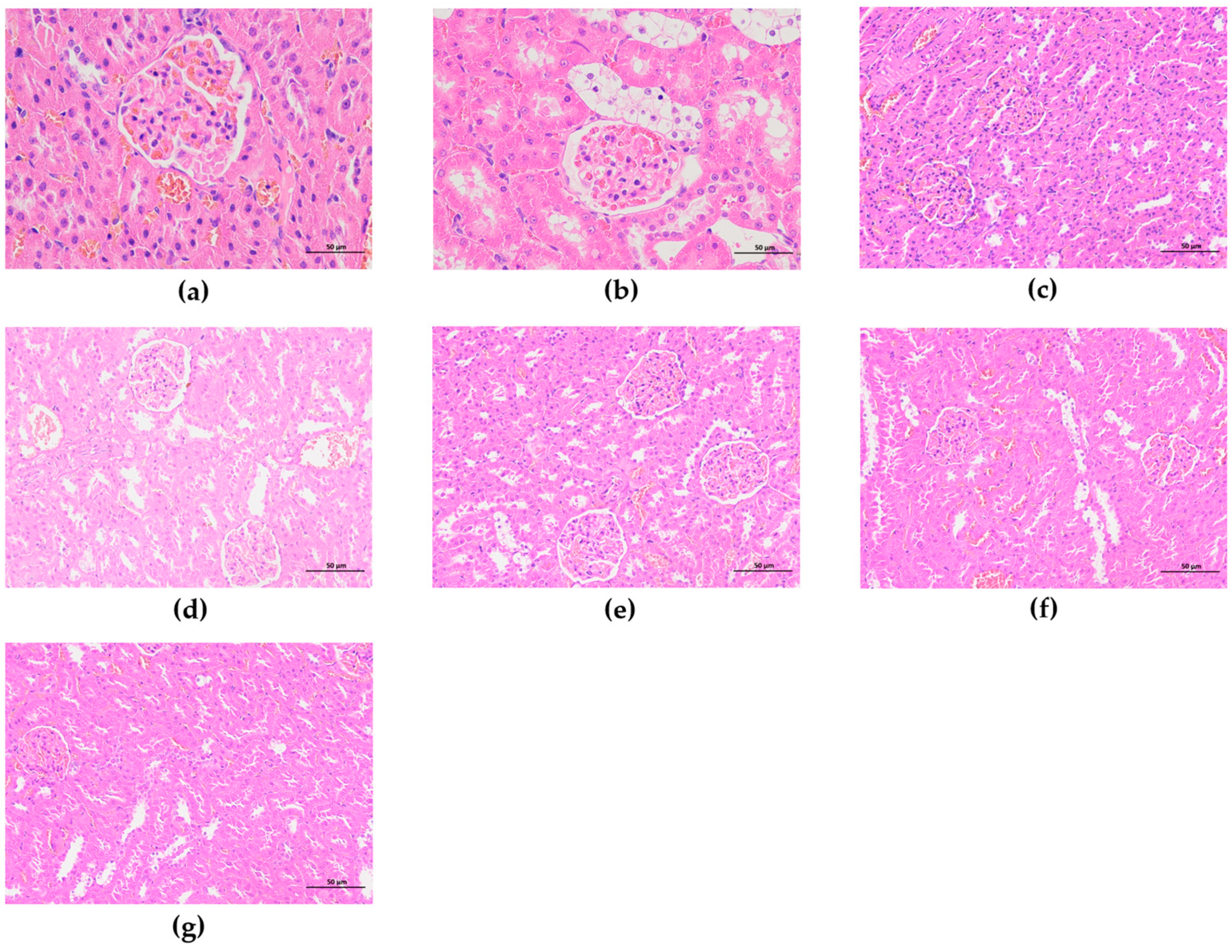 Fermentation 10 00618 g022