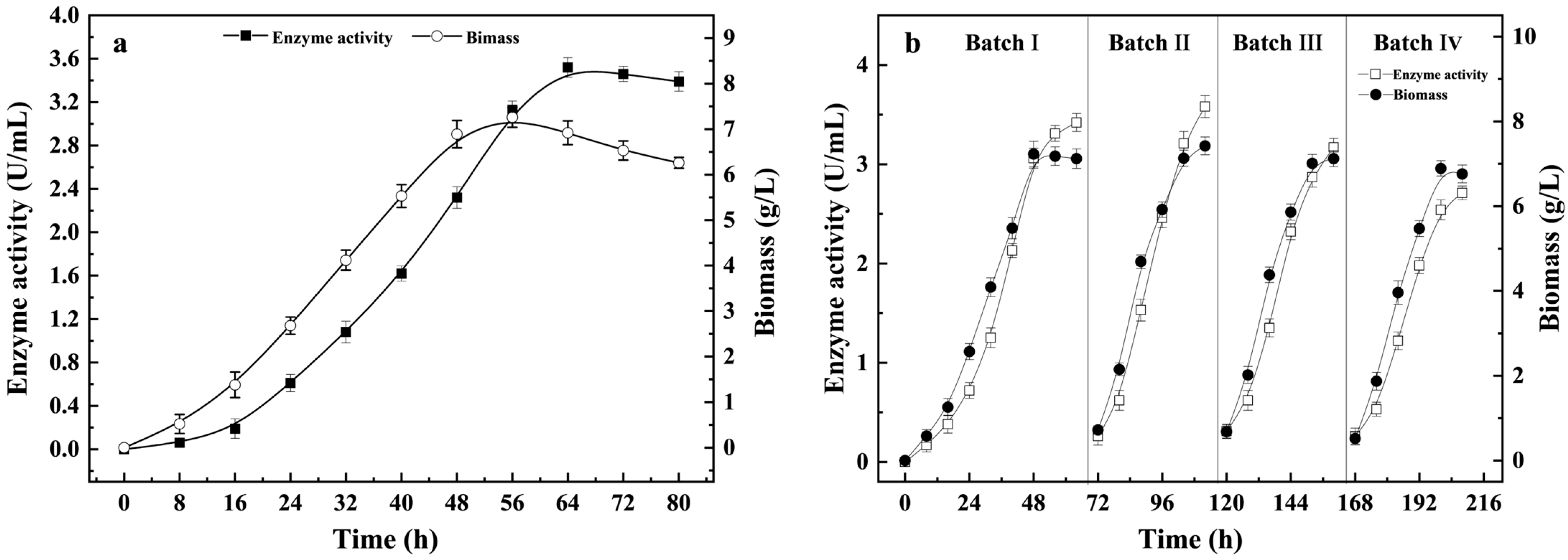 Fermentation 10 00634 g003