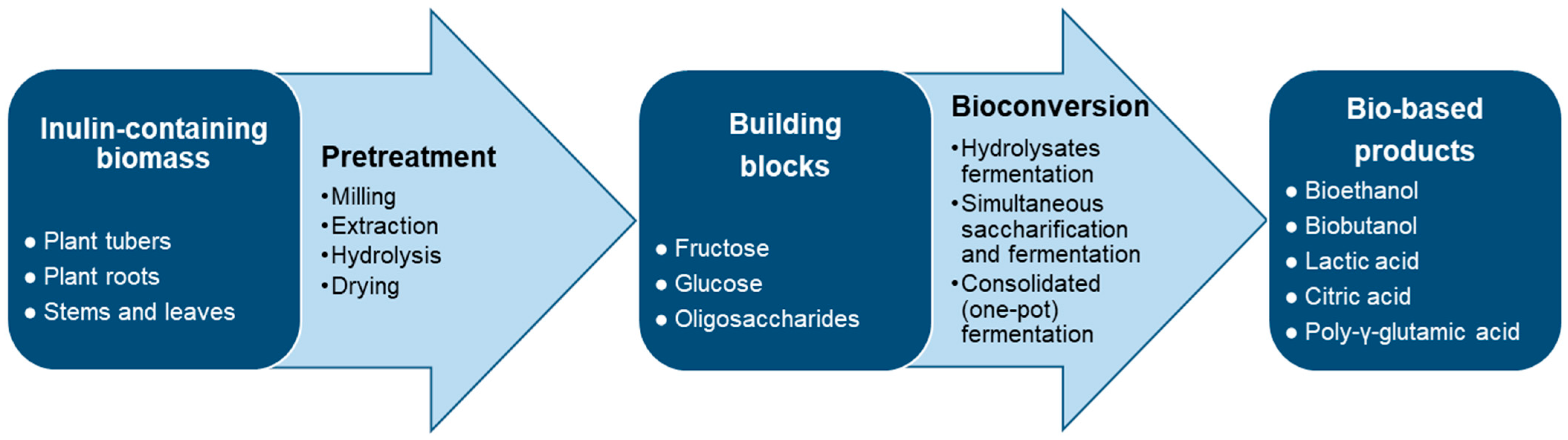 Fermentation 10 00640 g001 Fermentation 10 00640 g001