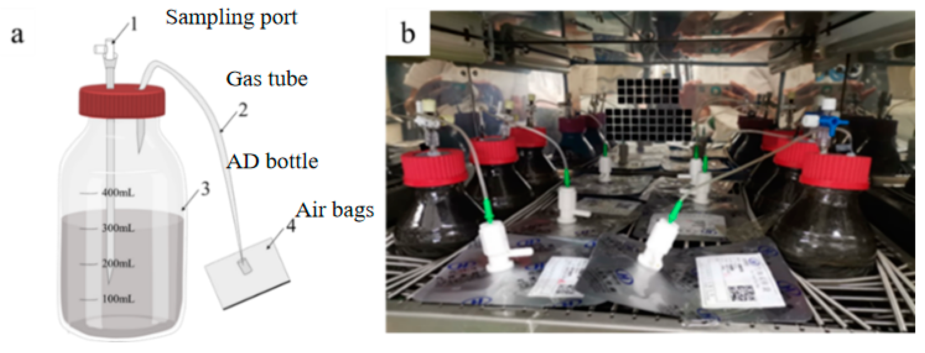 Fermentation 10 00644 g001