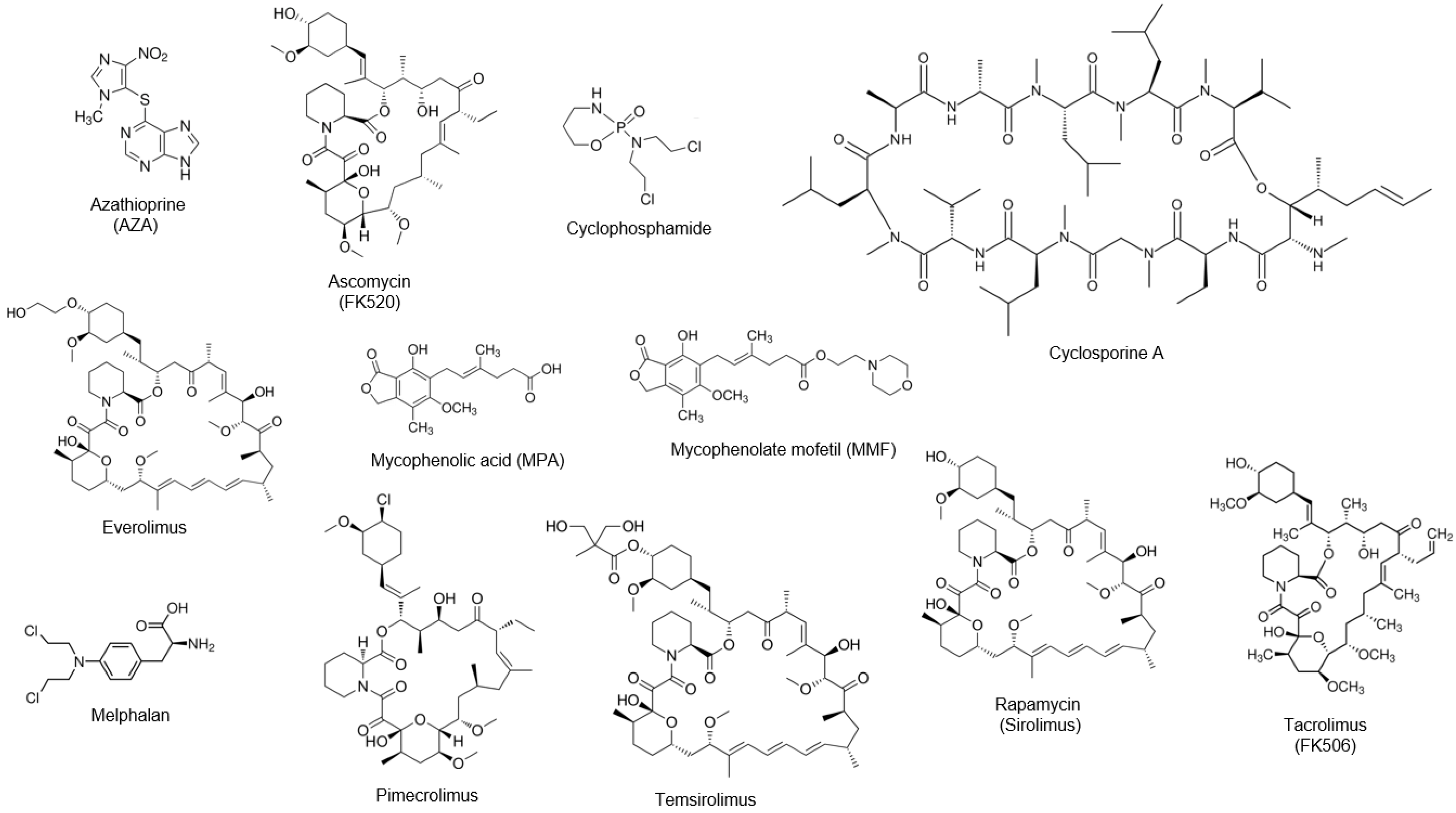 Fermentation 10 00645 g001 Fermentation 10 00645 g001
