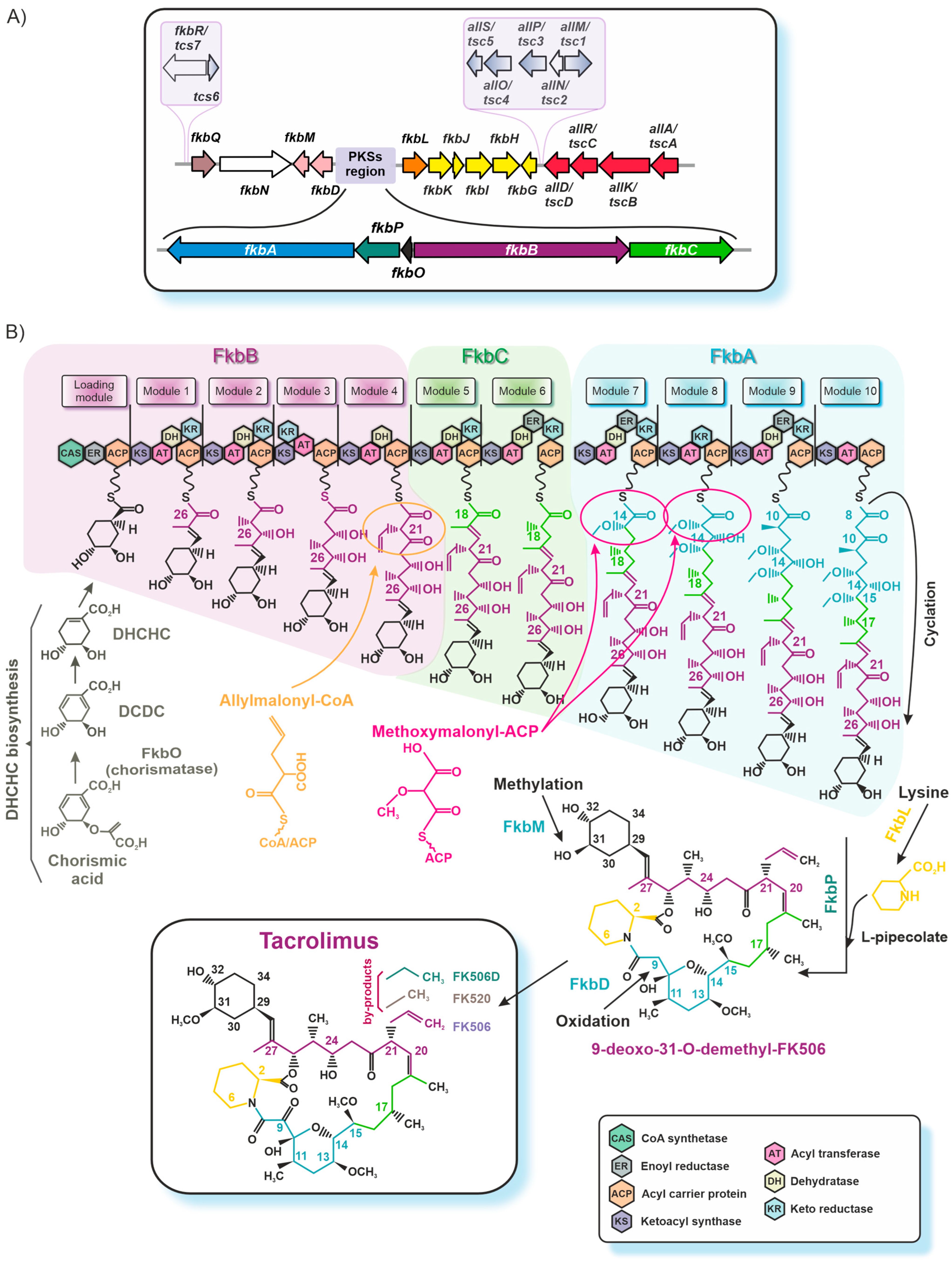 Fermentation 10 00645 g003 Fermentation 10 00645 g003