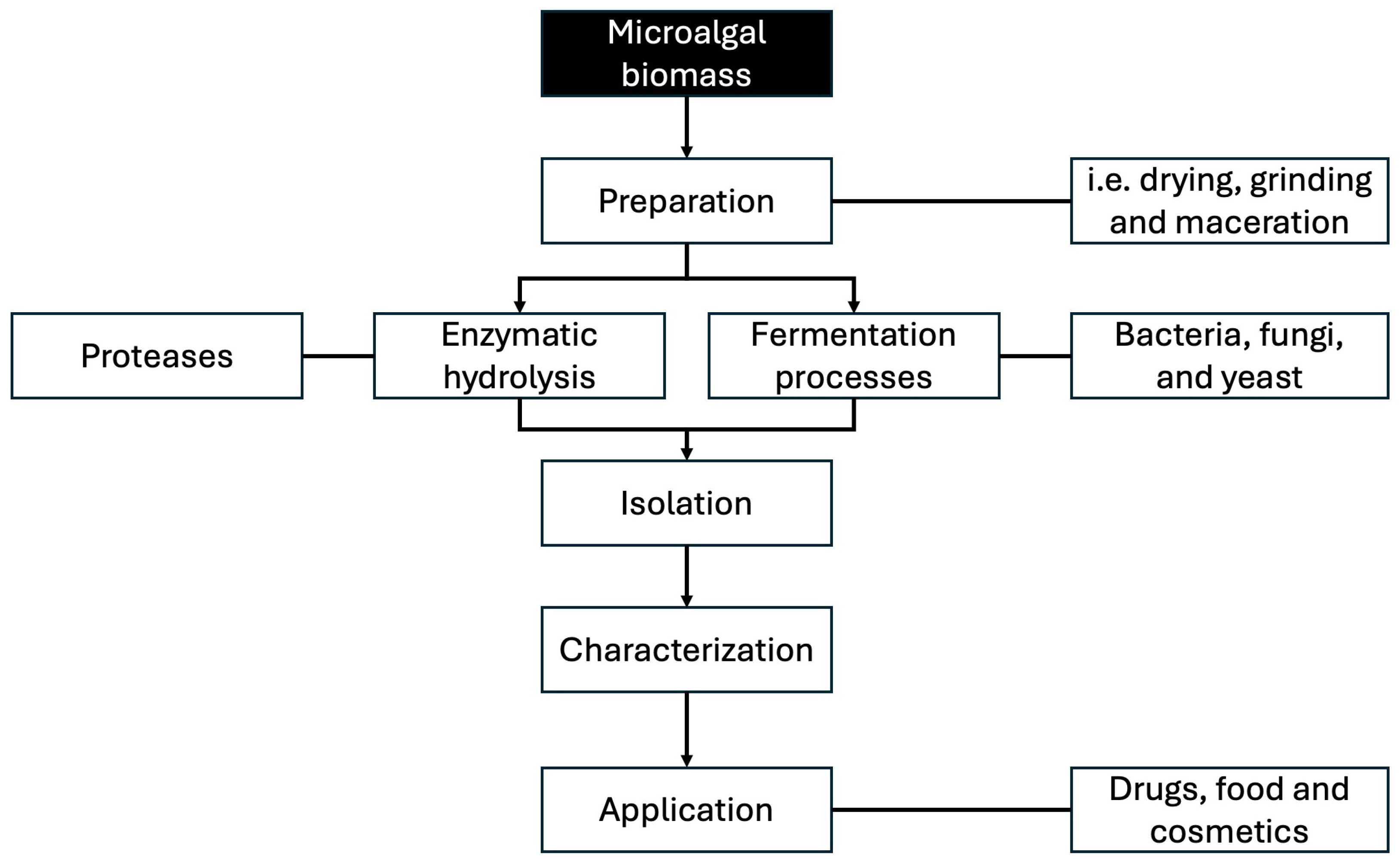 Fermentation 10 00649 g002