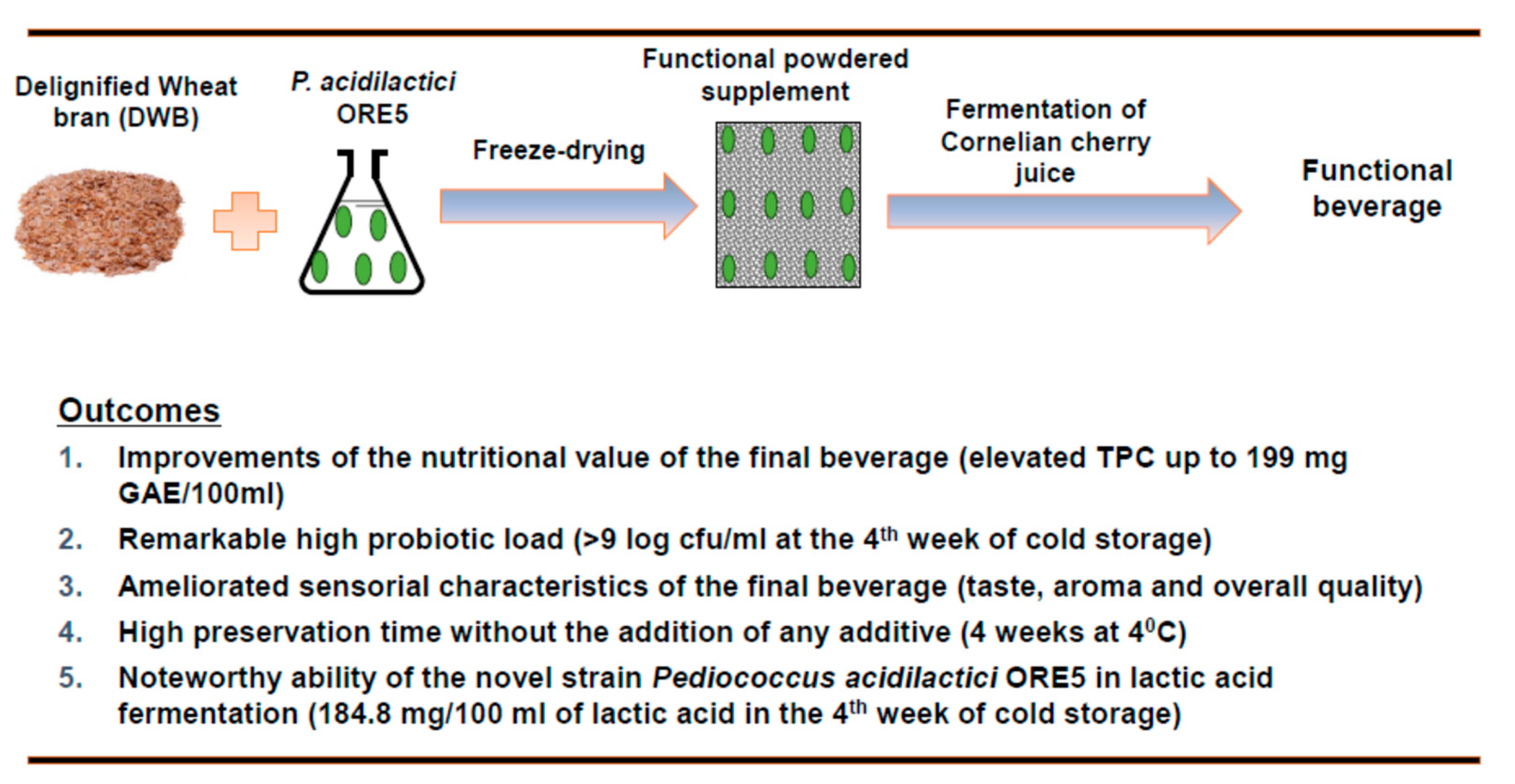 Fermentation 10 00650 g001