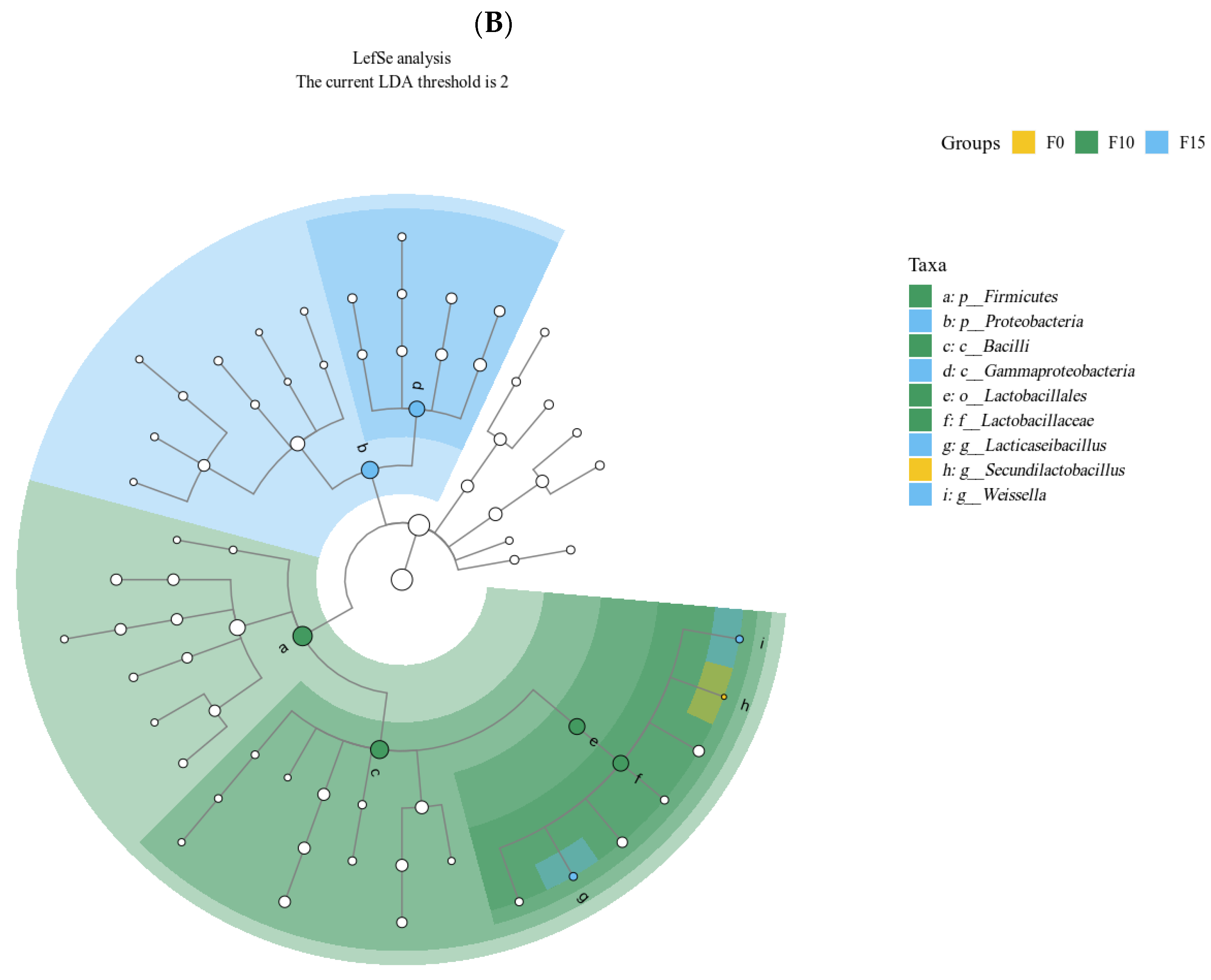 Fermentation 10 00654 g003b