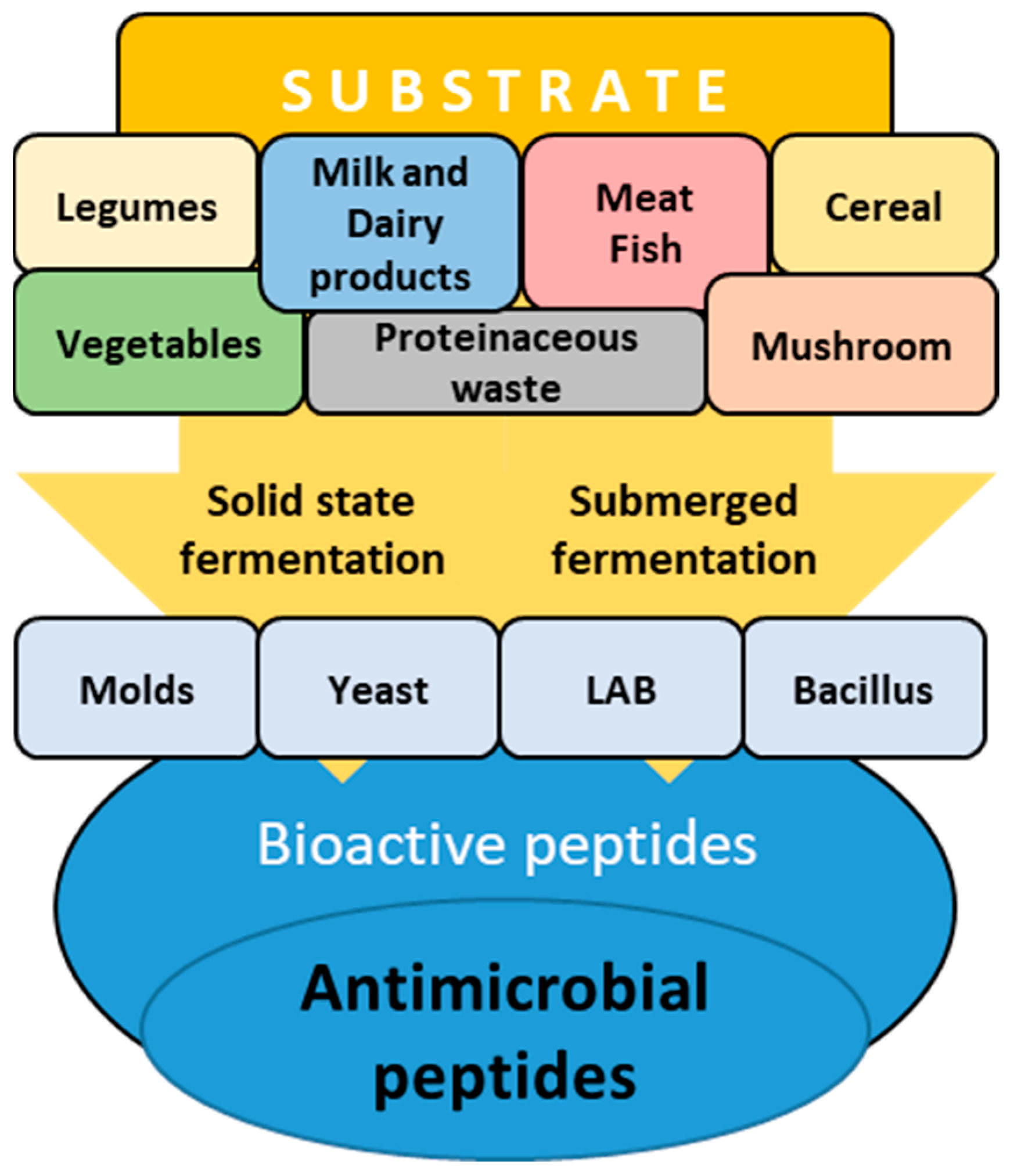 Fermentation 11 00036 g003 Fermentation 11 00036 g003