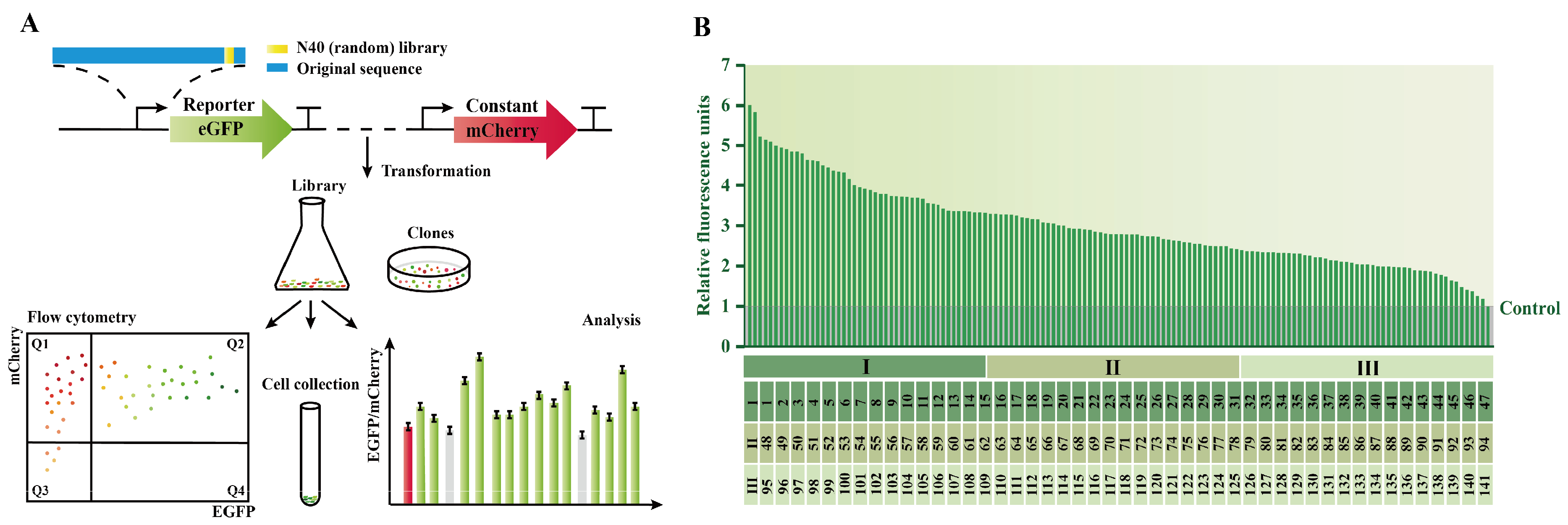 Fermentation 11 00049 g003