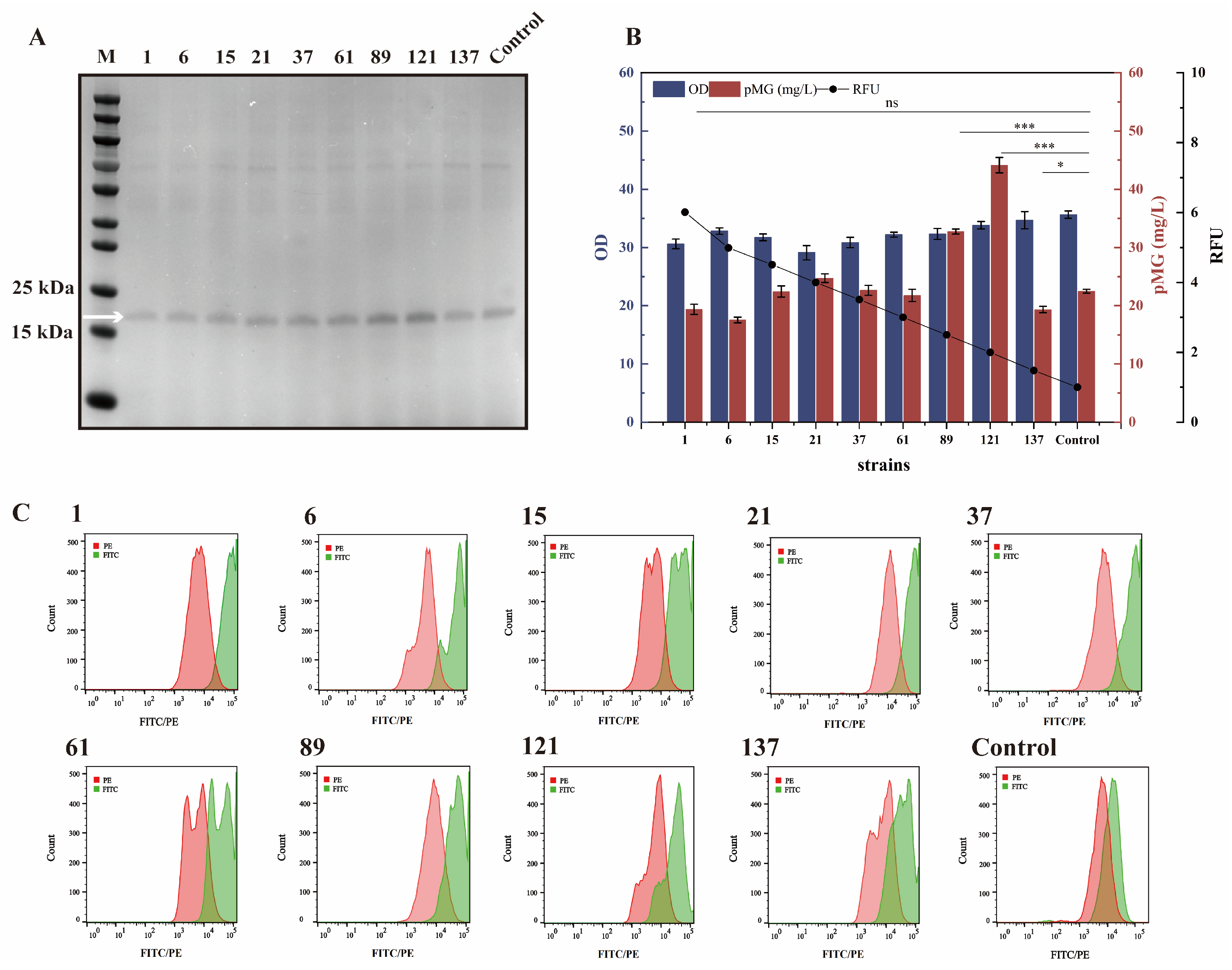 Fermentation 11 00049 g004
