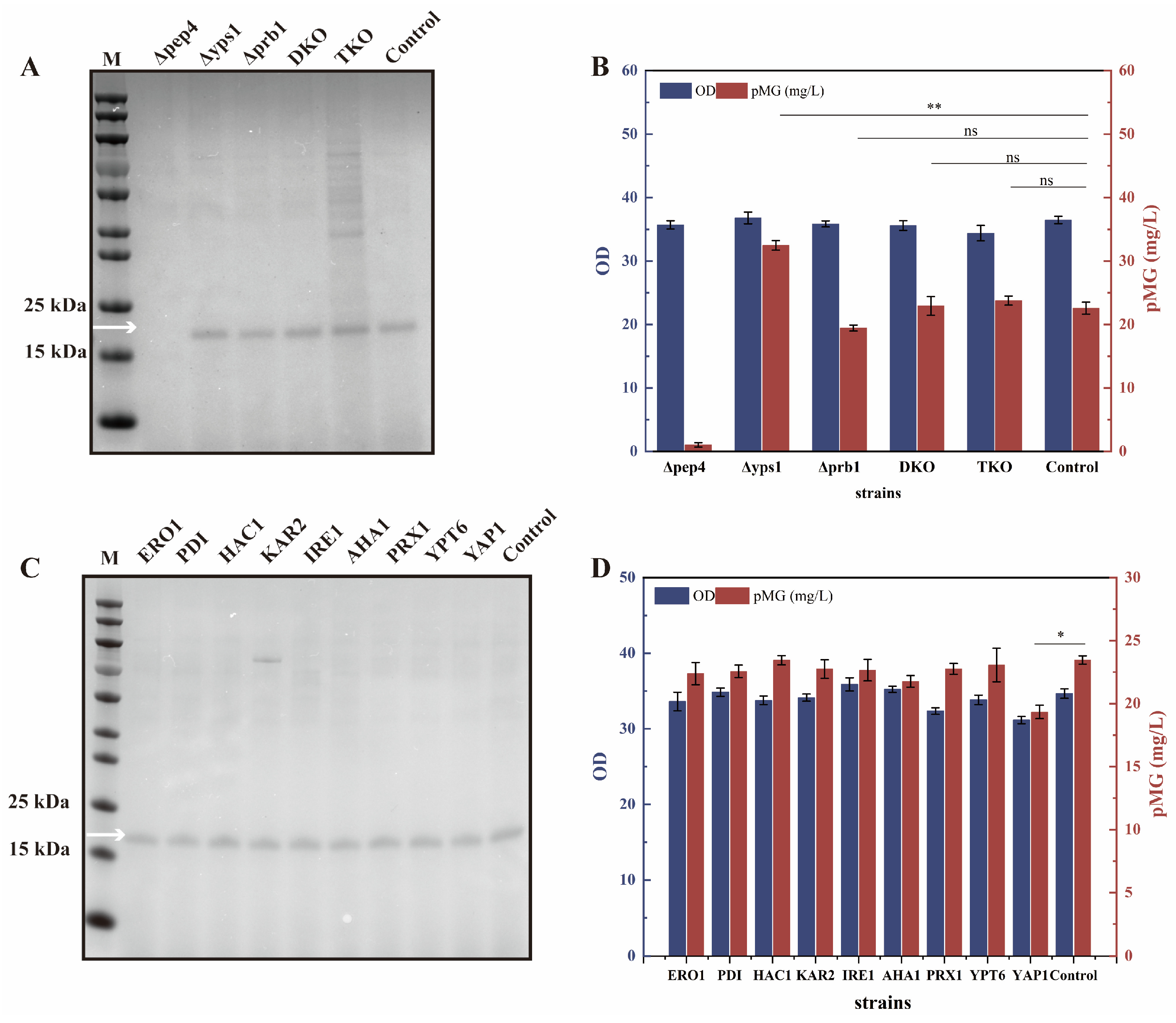 Fermentation 11 00049 g005