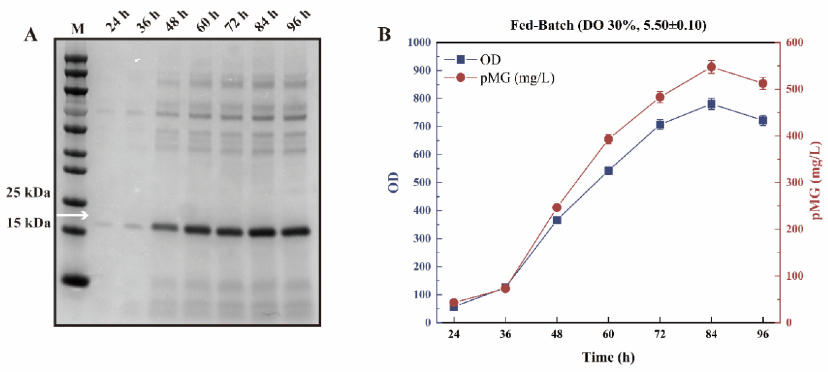 Fermentation 11 00049 g007