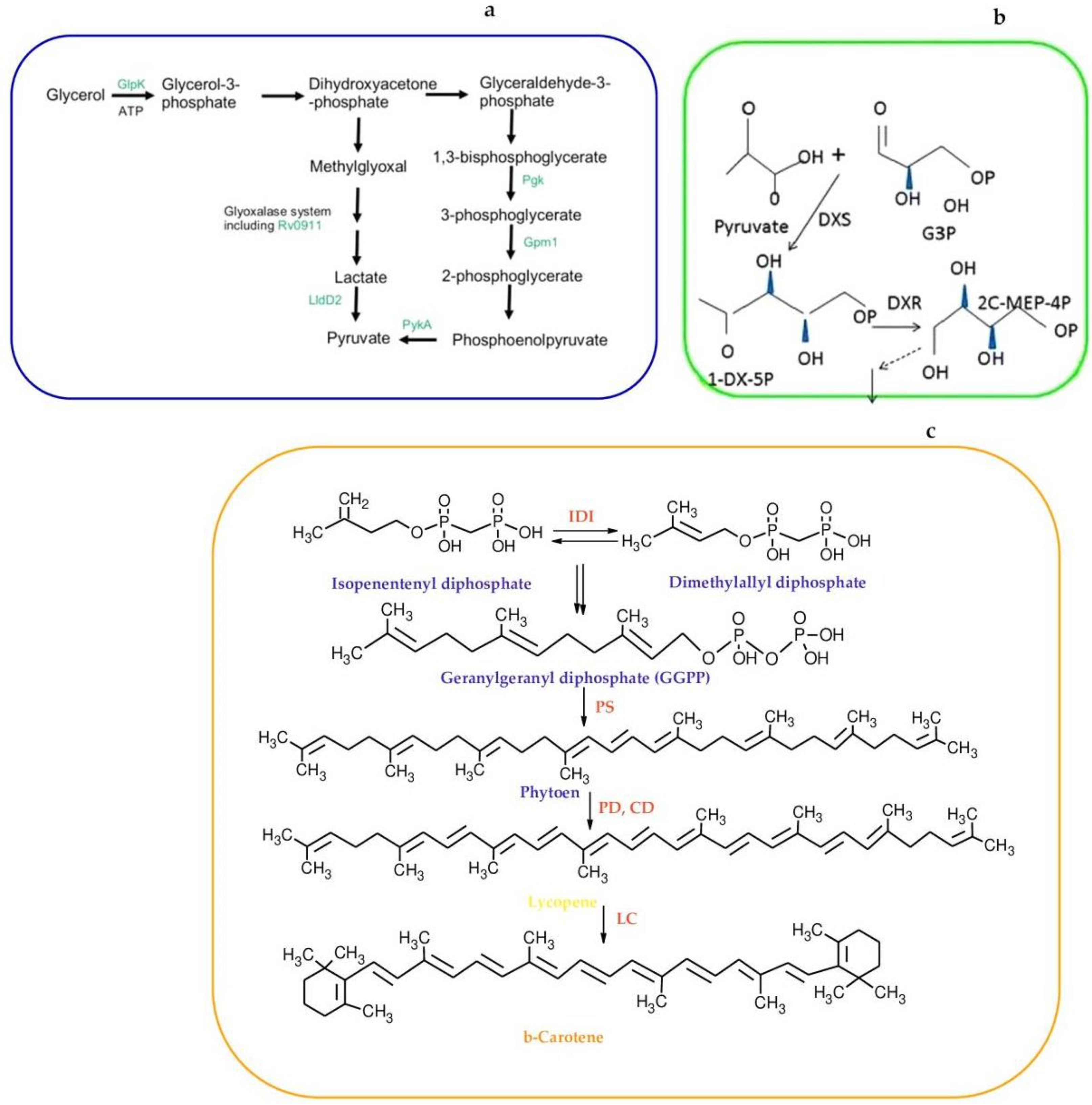 Fermentation 11 00082 g004