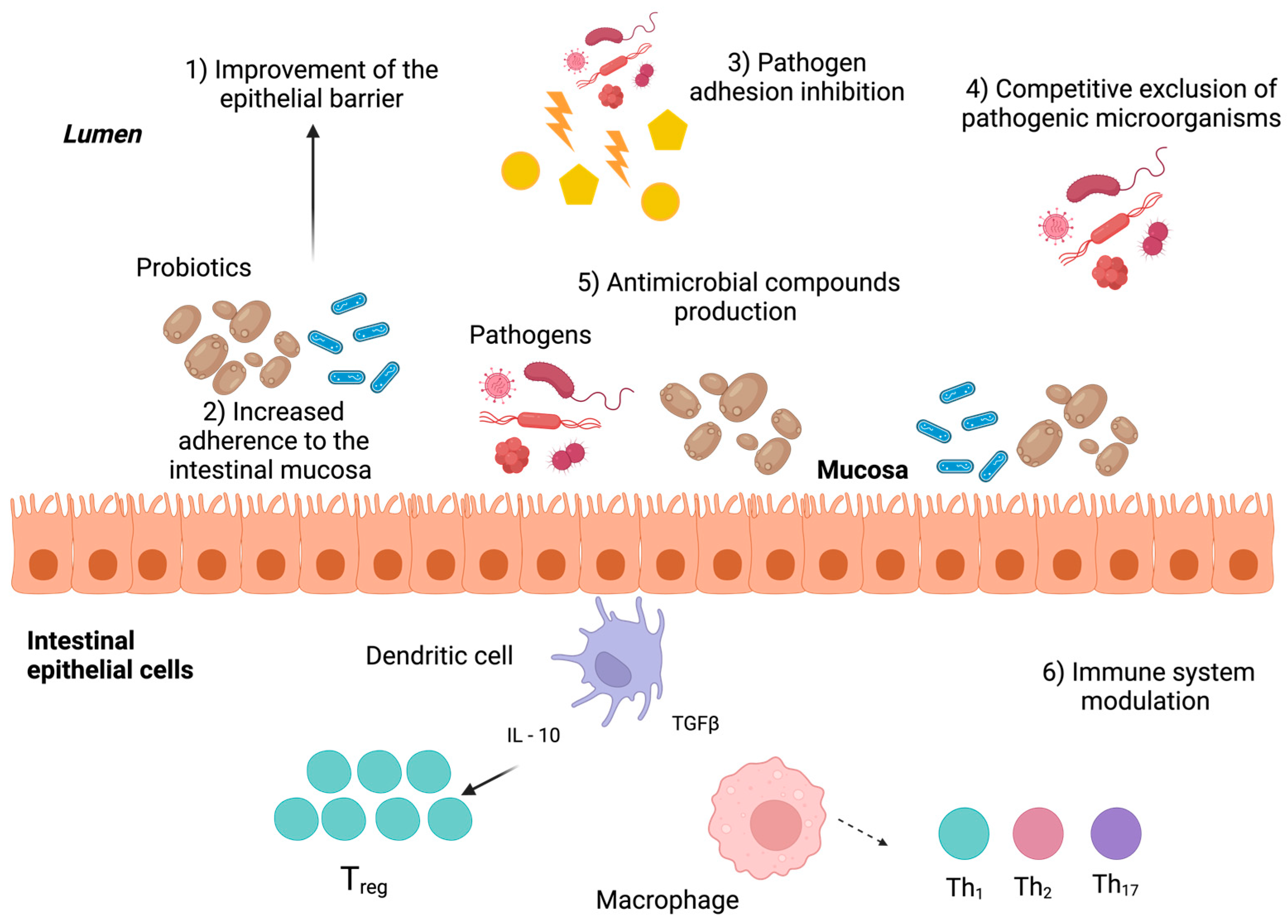 Fermentation 11 00095 g002 Fermentation 11 00095 g002