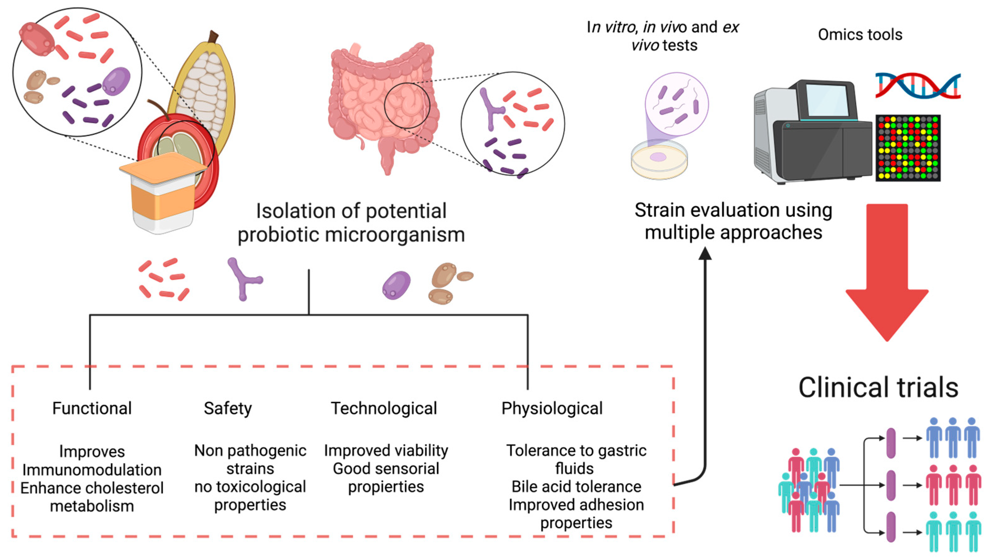 Fermentation 11 00095 g003 Fermentation 11 00095 g003
