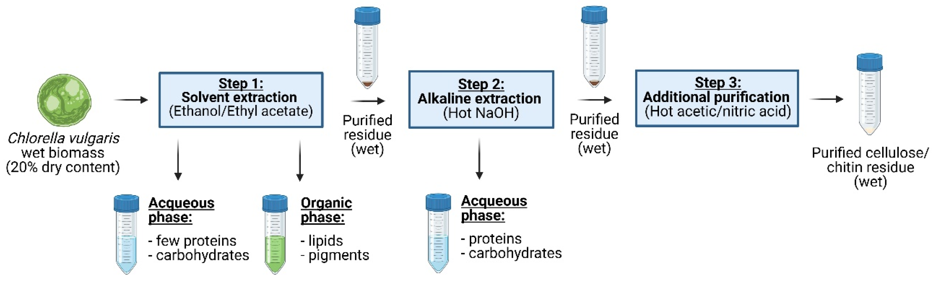 Fermentation 11 00120 g001