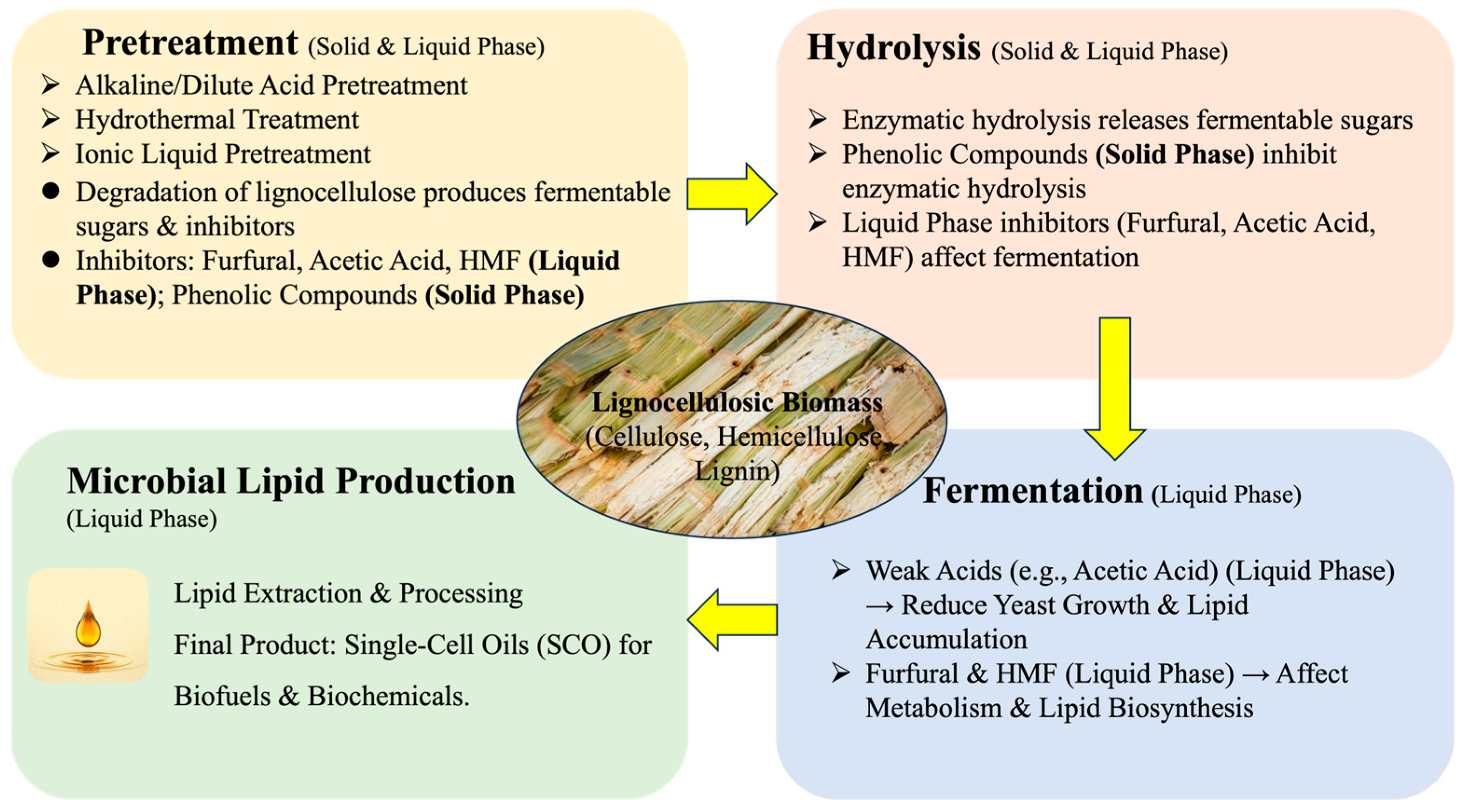 Fermentation 11 00121 g001