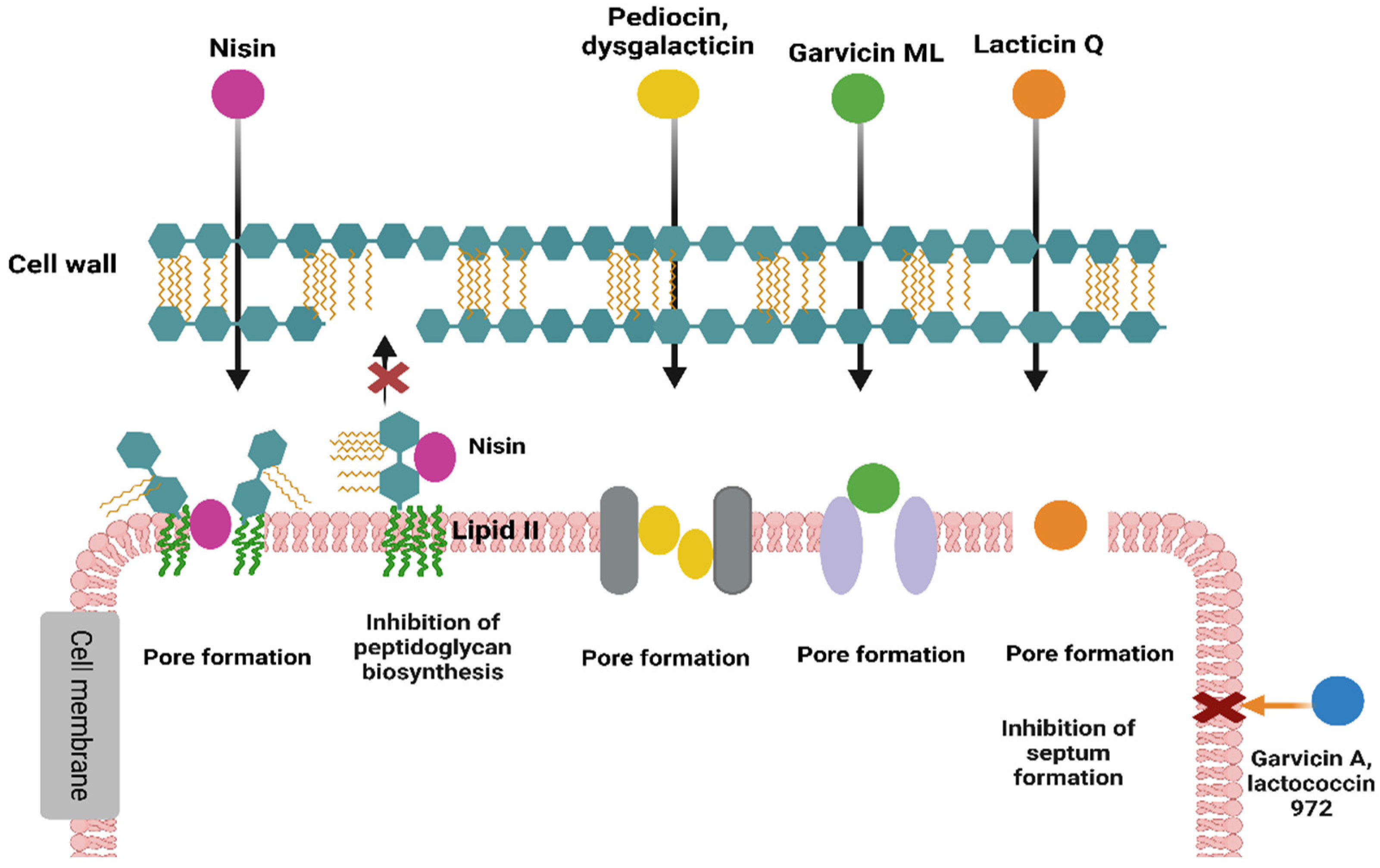 Fermentation 11 00142 g003 Fermentation 11 00142 g003