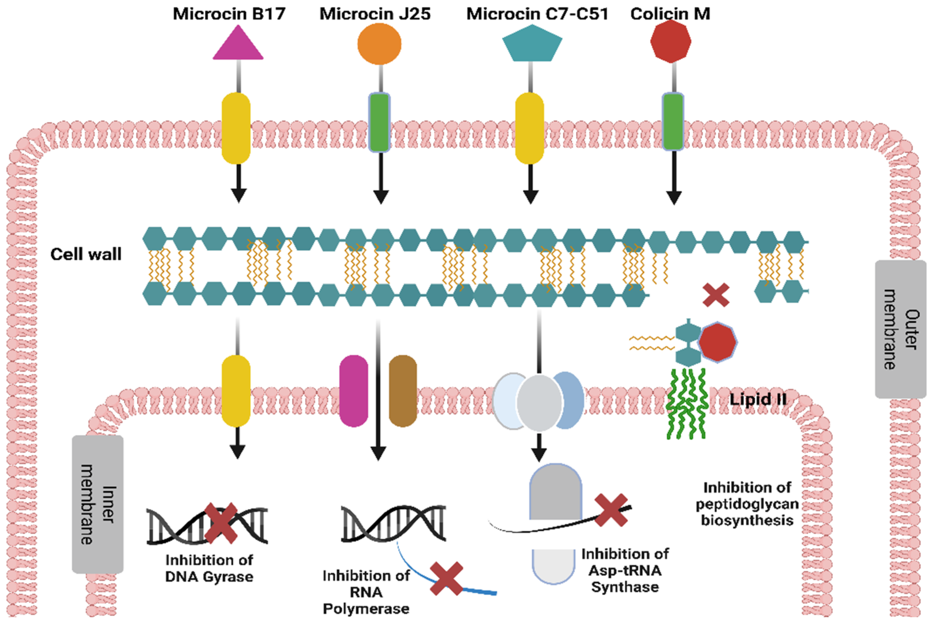 Fermentation 11 00142 g004 Fermentation 11 00142 g004