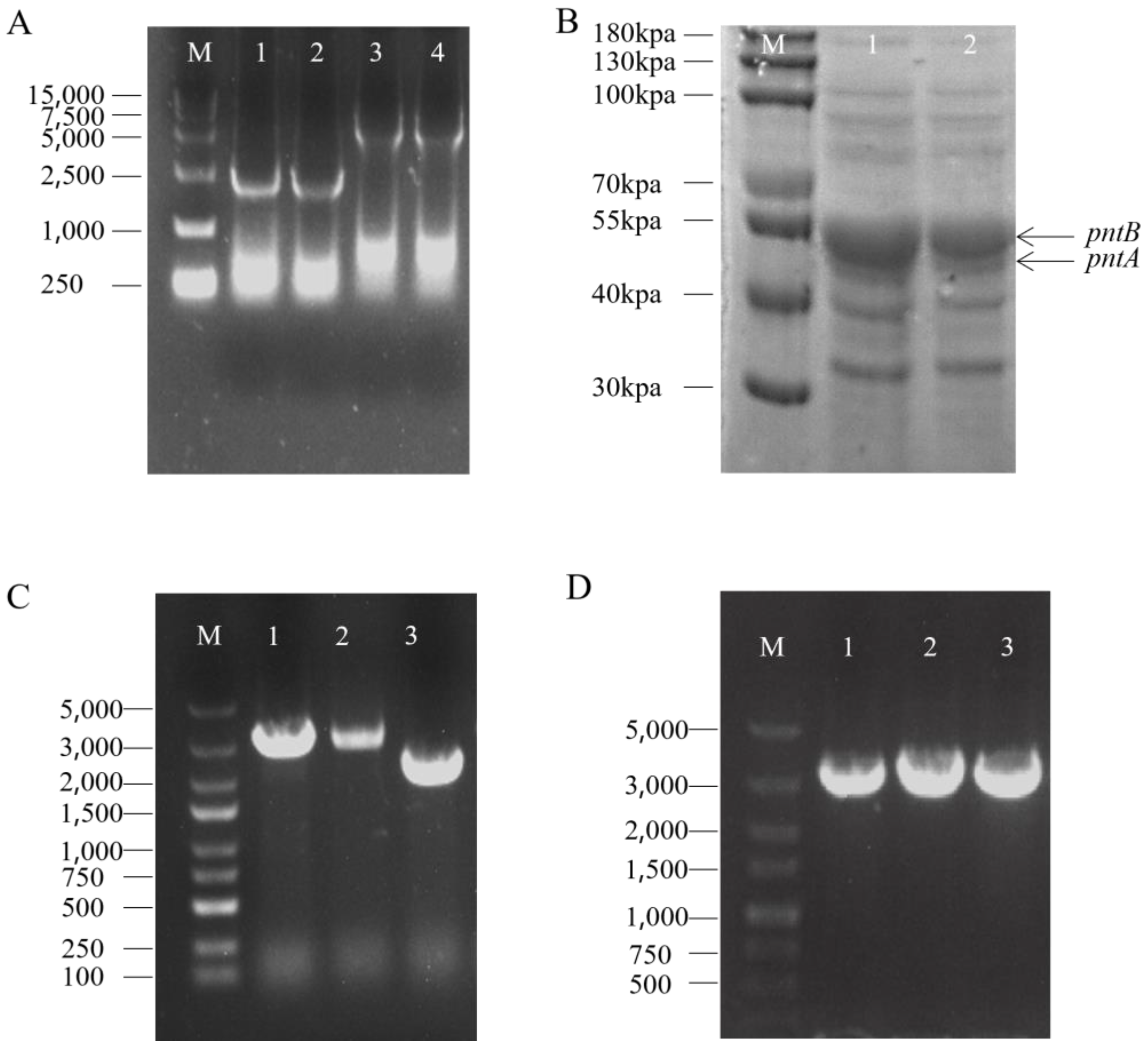 Fermentation 11 00149 g001