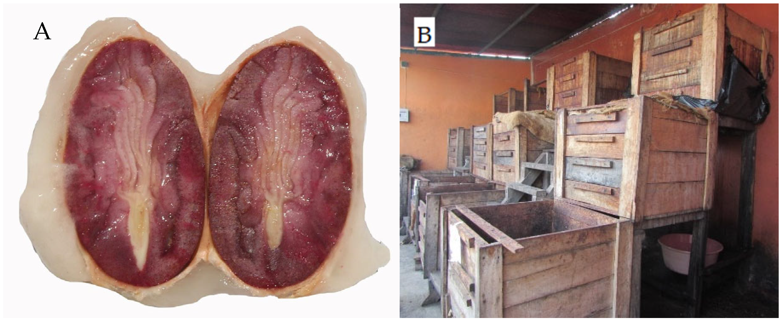 Fermentation 11 00167 g001