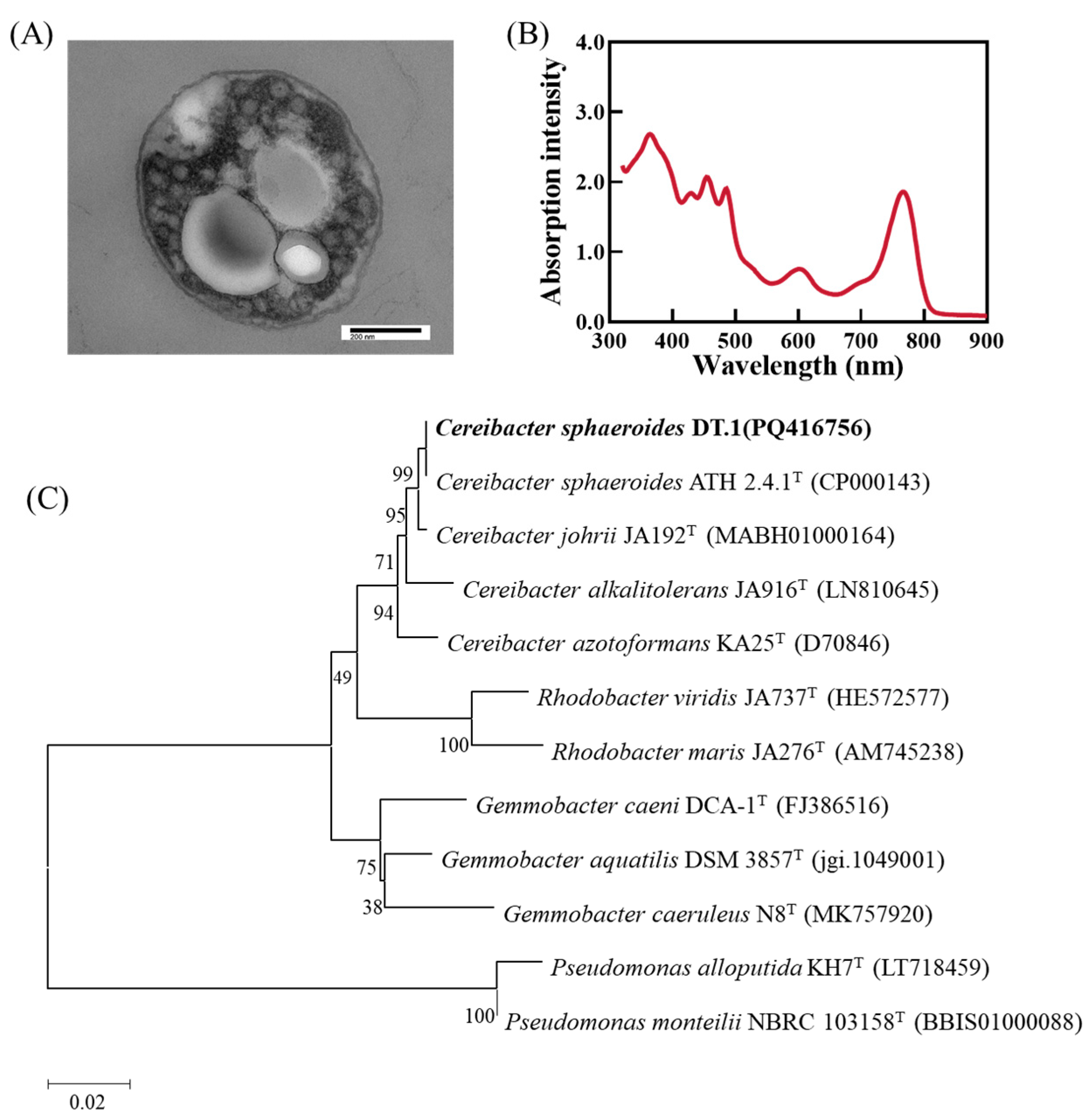 Fermentation 11 00168 g001