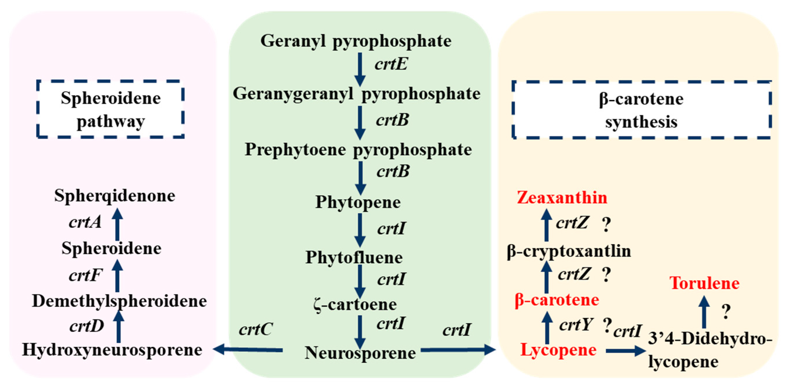 Fermentation 11 00168 g002