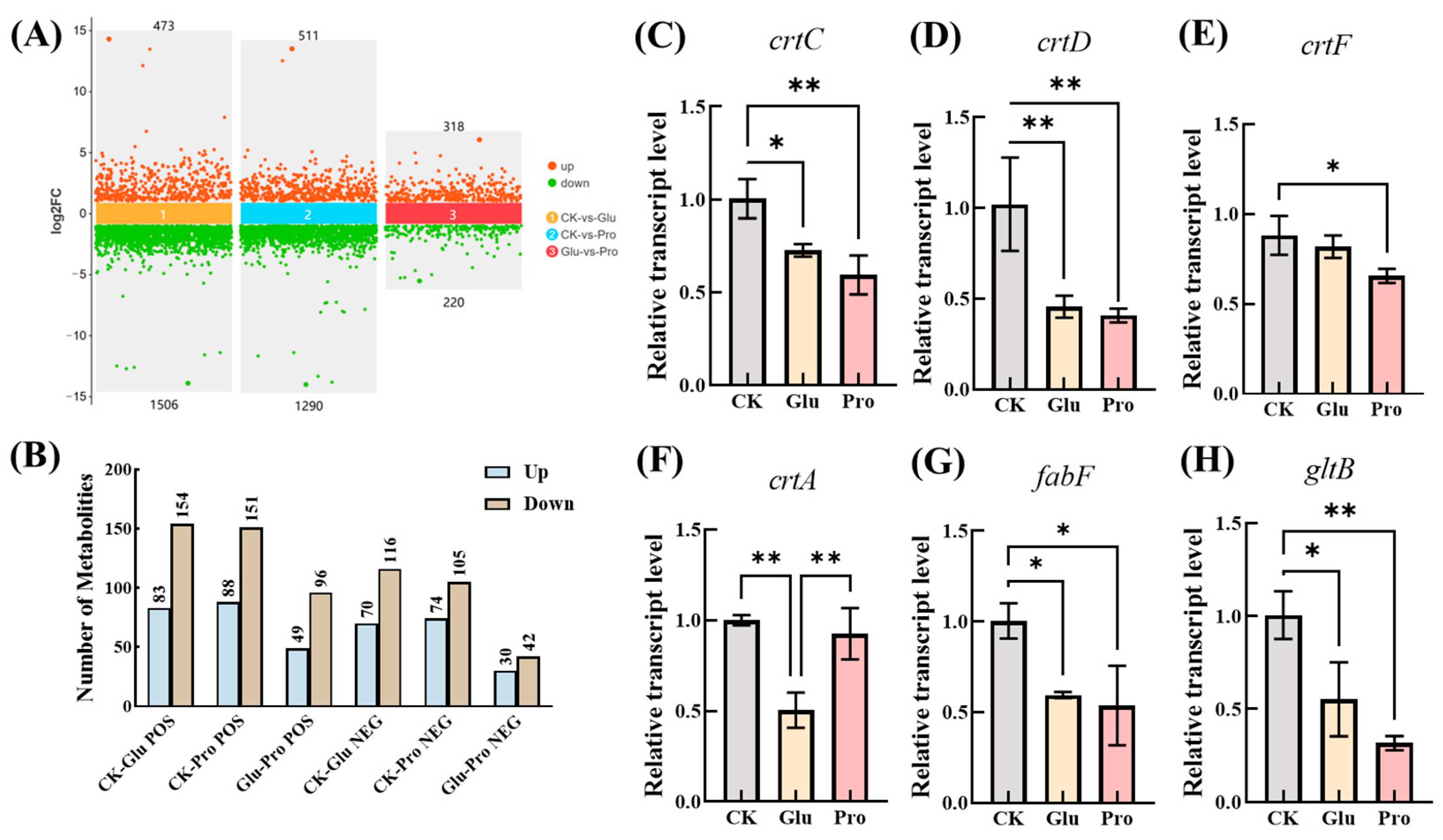 Fermentation 11 00168 g004