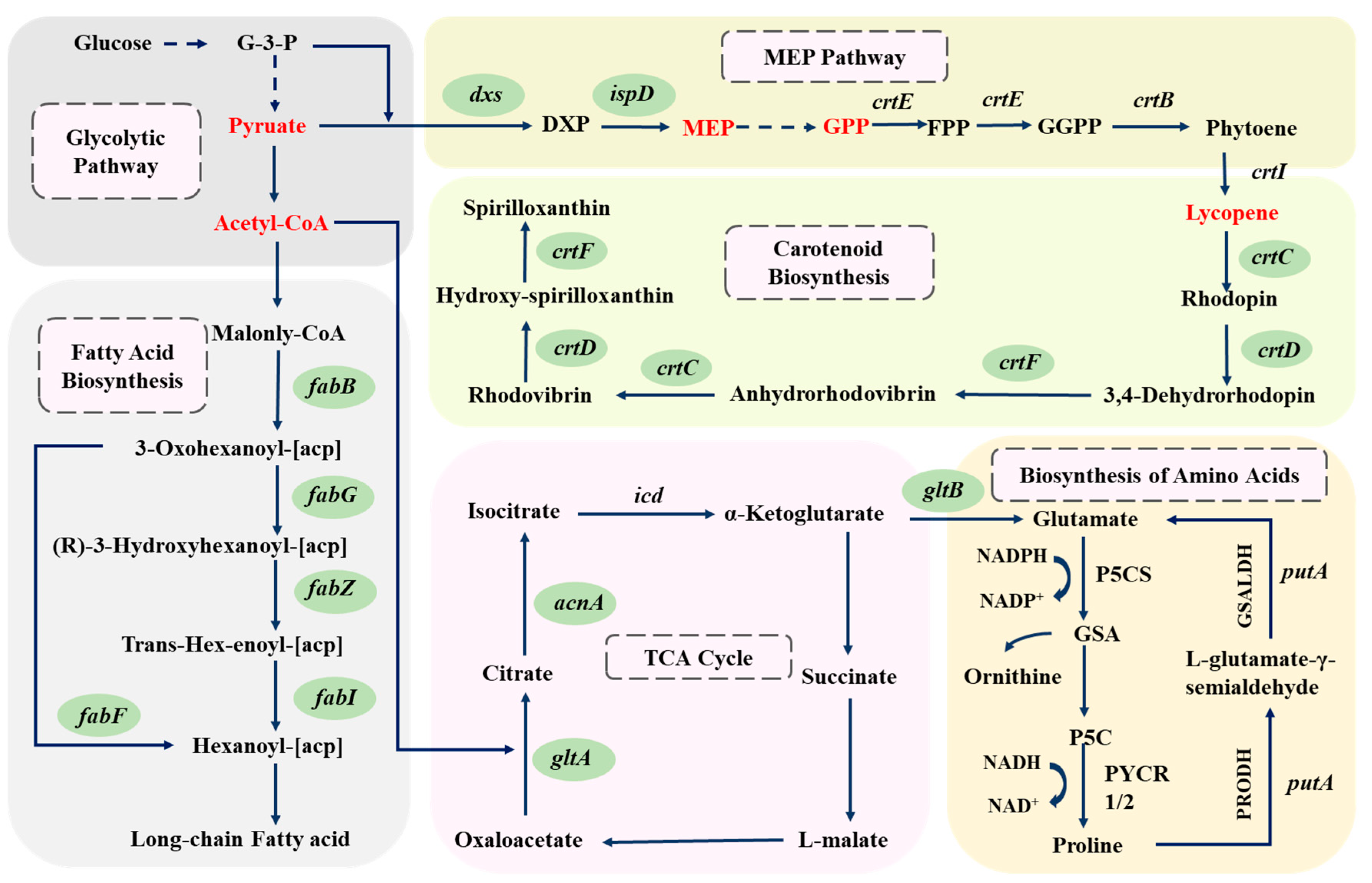 Fermentation 11 00168 g005