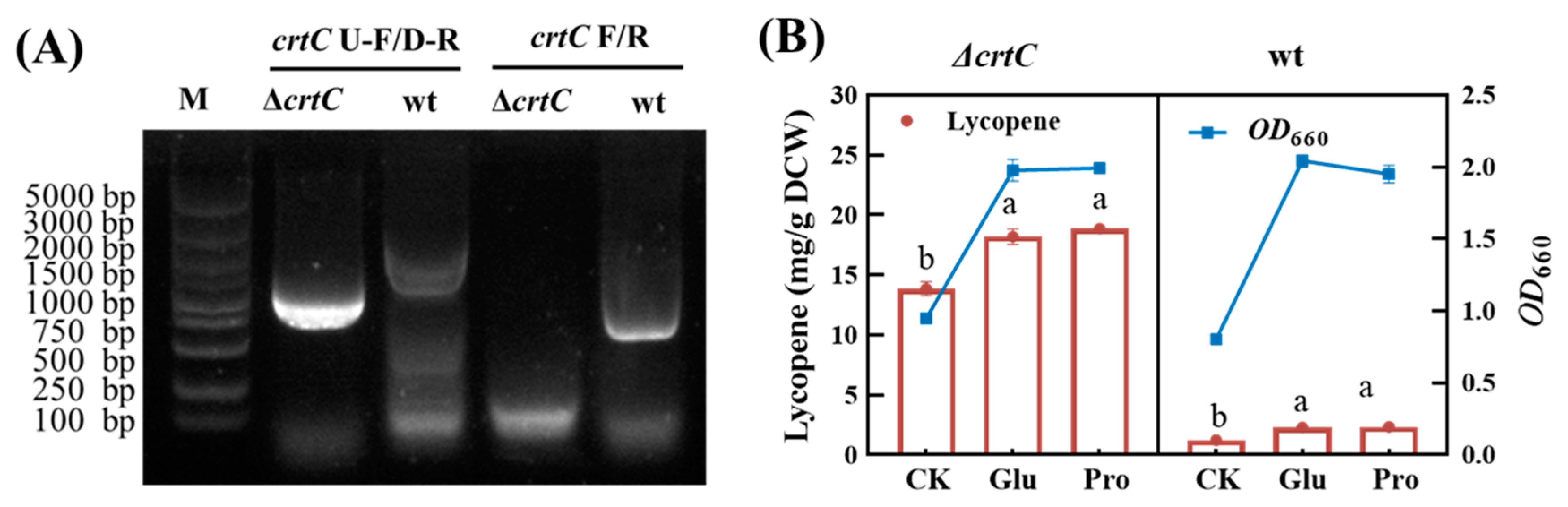 Fermentation 11 00168 g006
