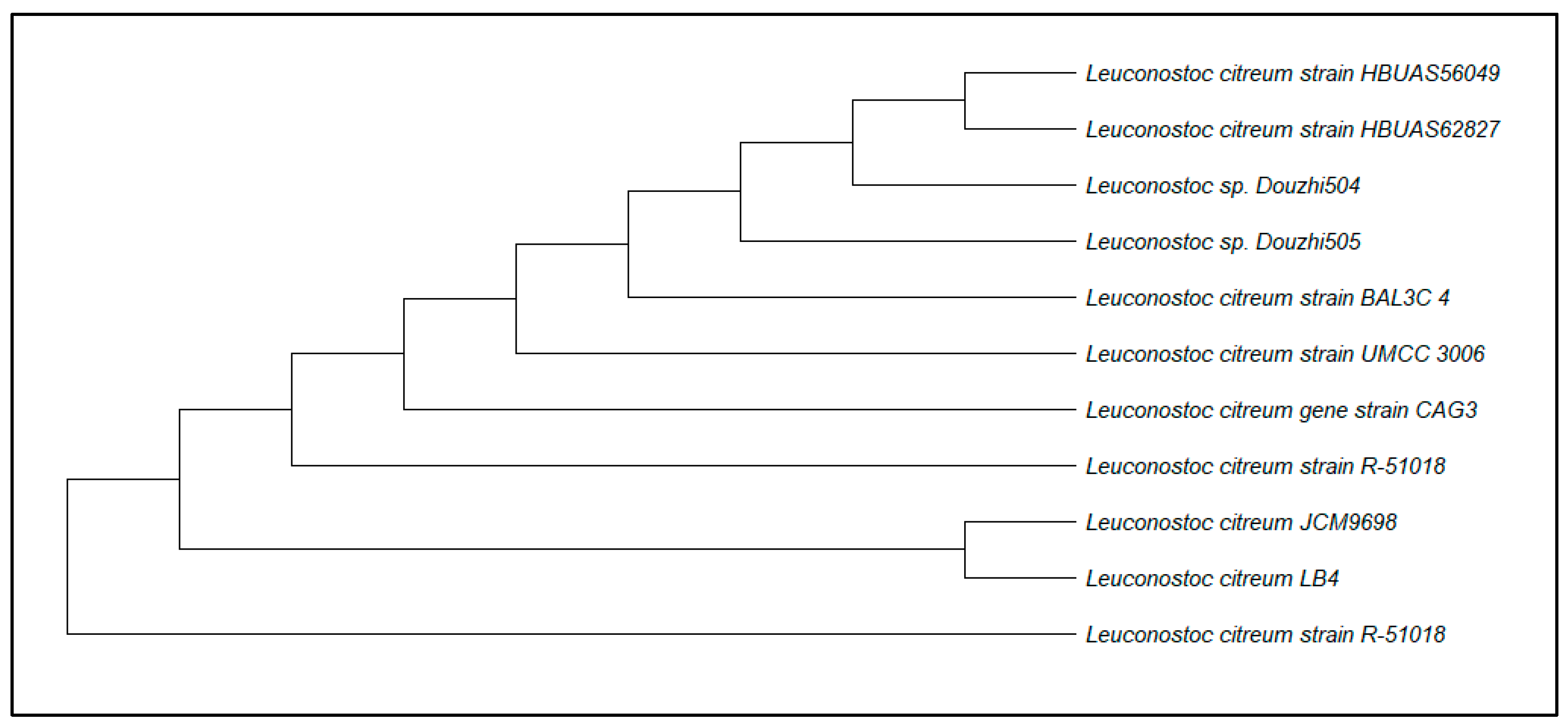 Fermentation 11 00169 g001