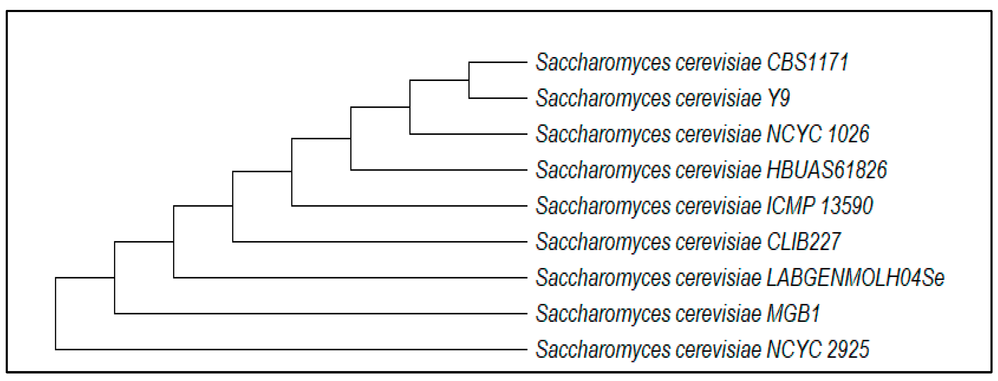Fermentation 11 00169 g003
