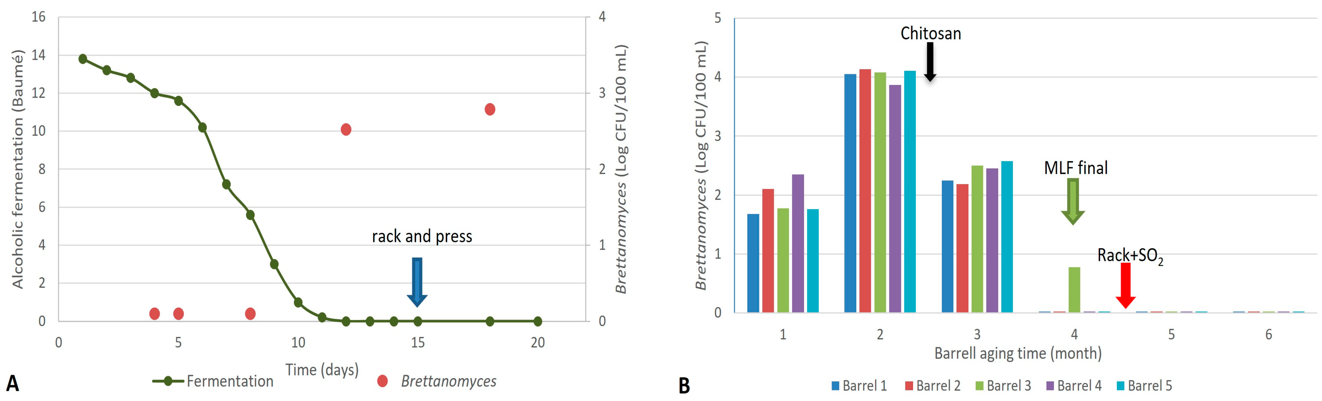 Fermentation 11 00175 g001