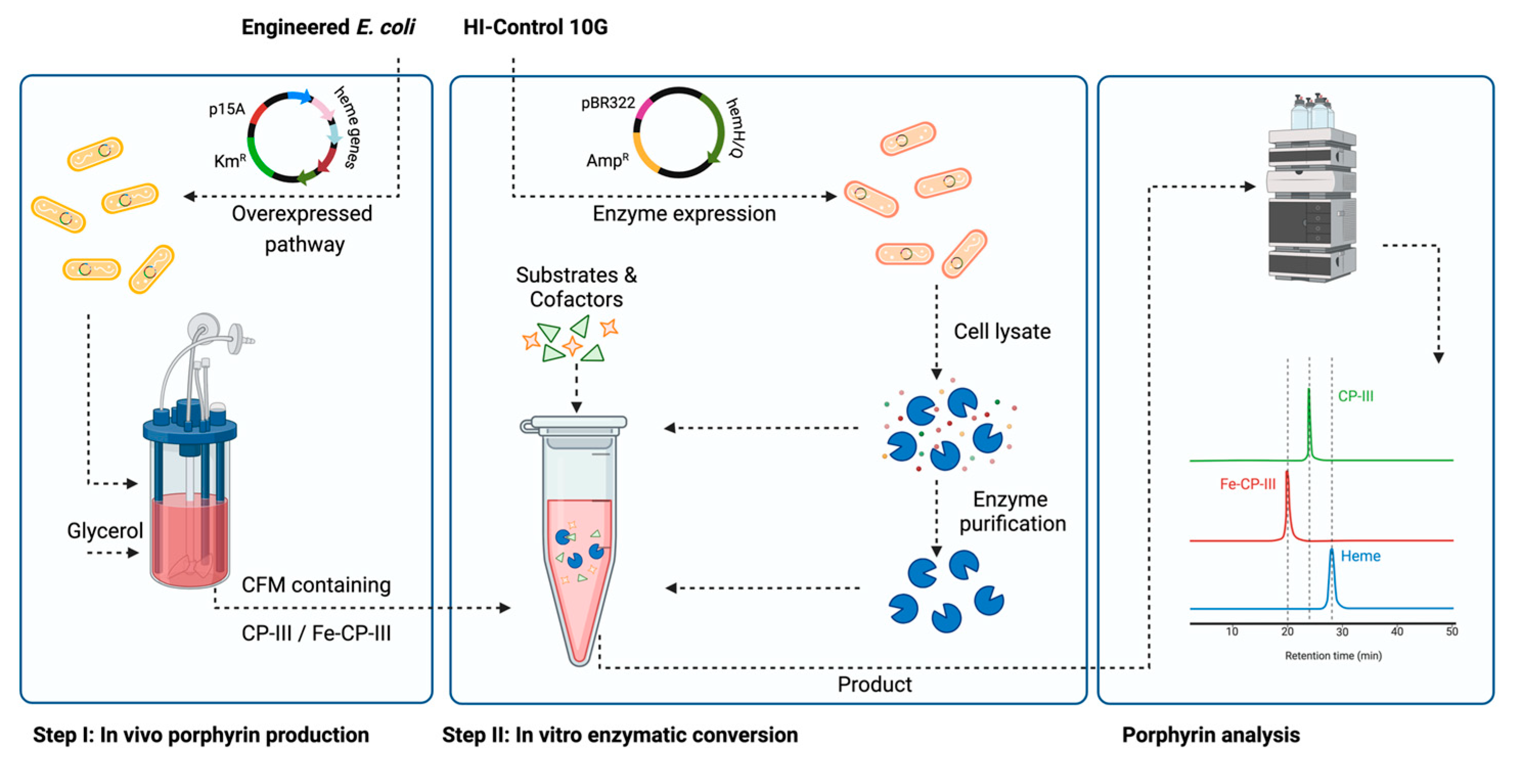 Fermentation 11 00198 g002