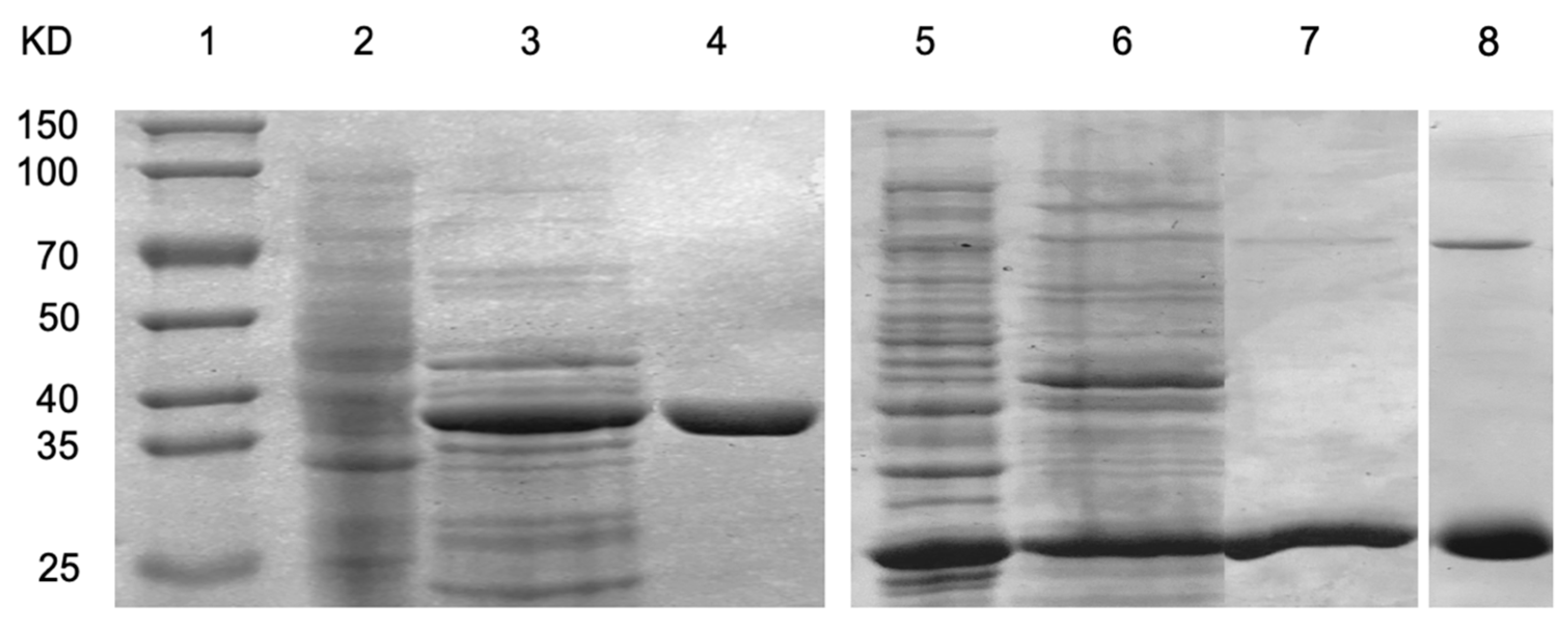 Fermentation 11 00198 g005
