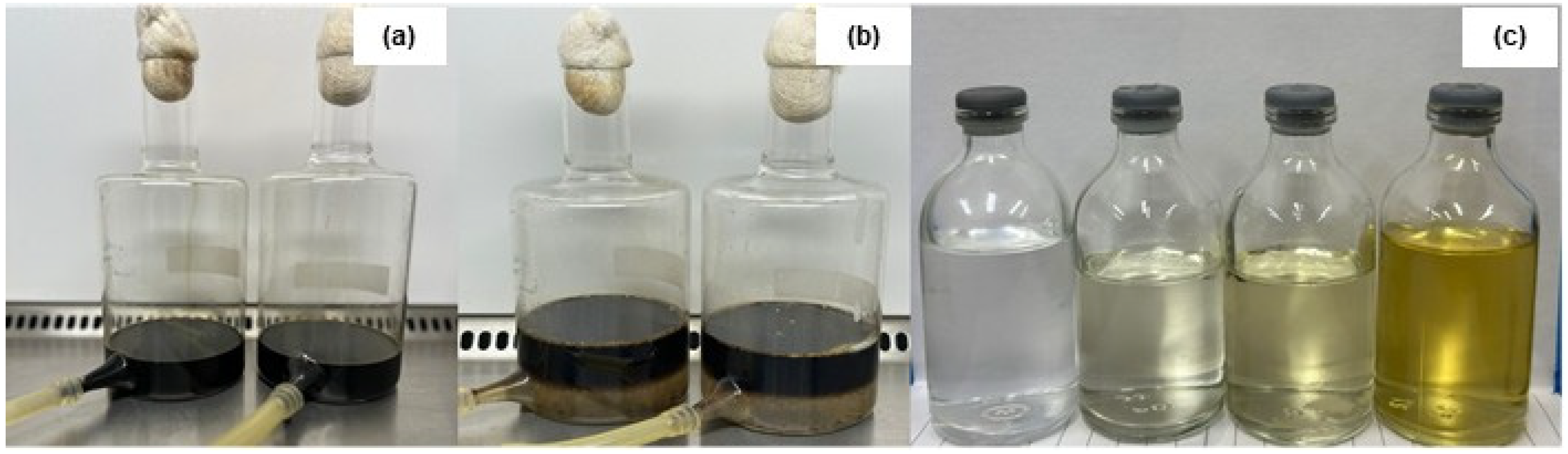 Fermentation 11 00199 g010
