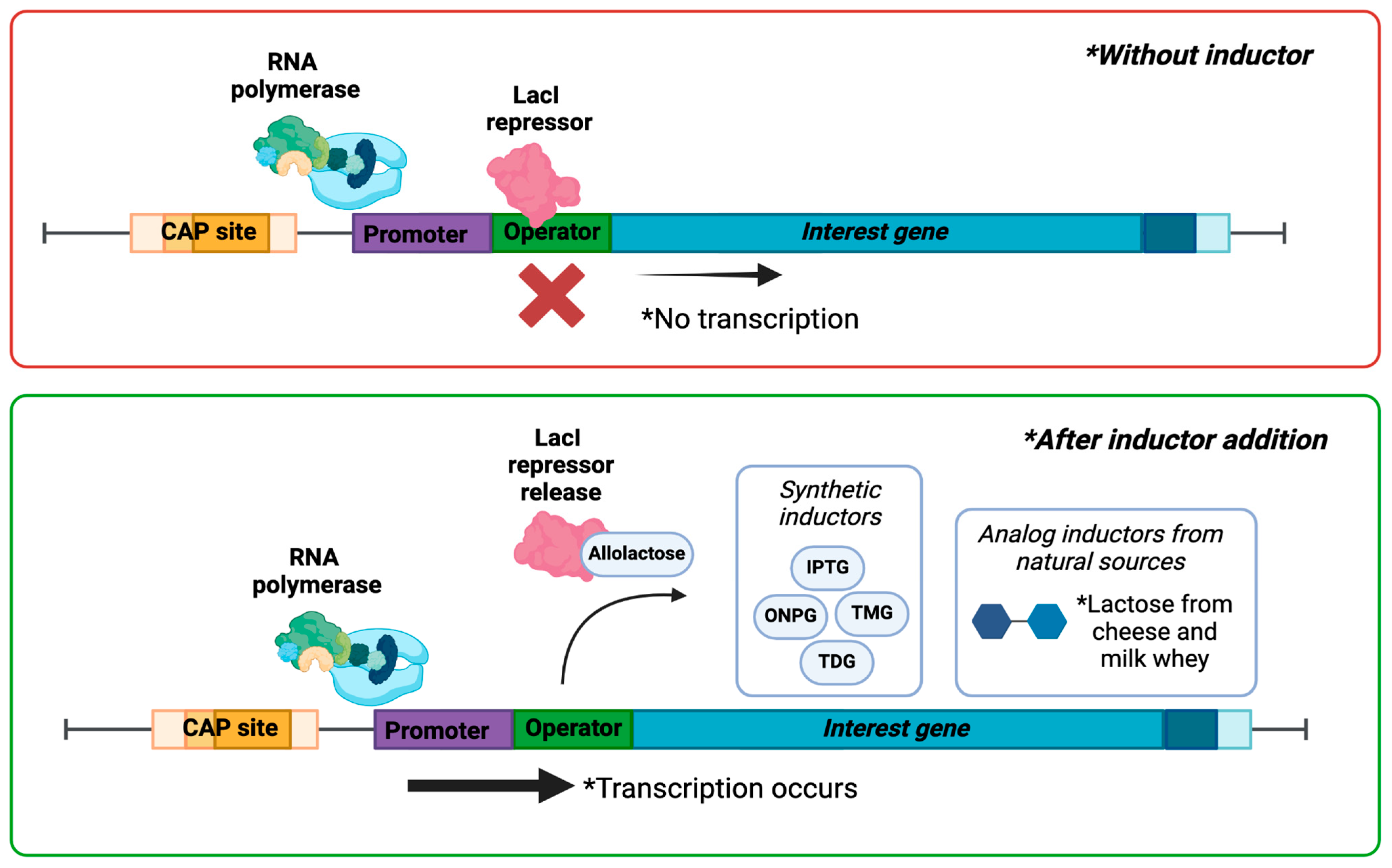 Fermentation 11 00217 g001