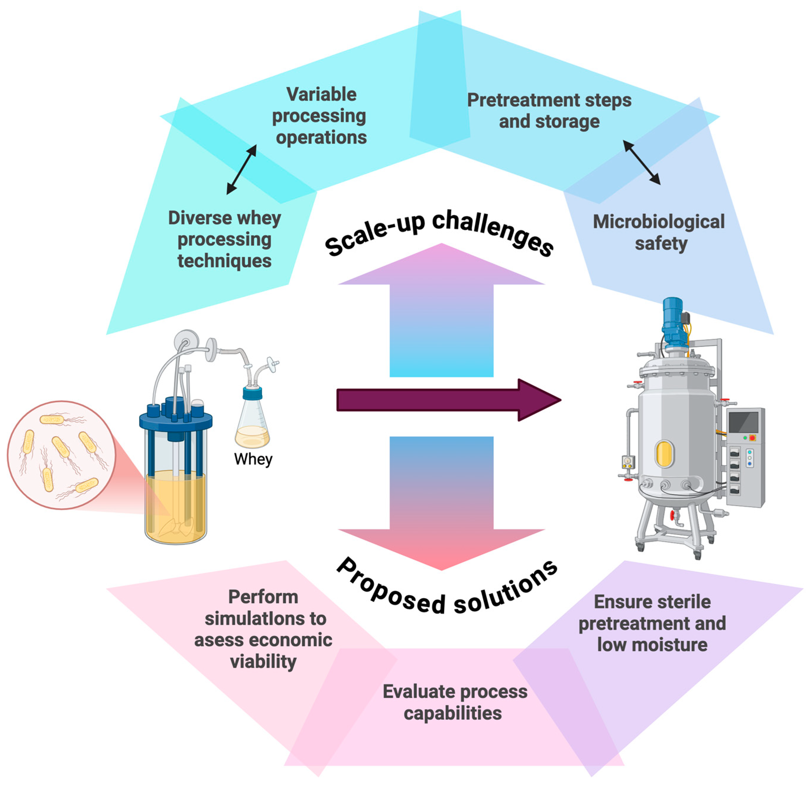 Fermentation 11 00217 g002