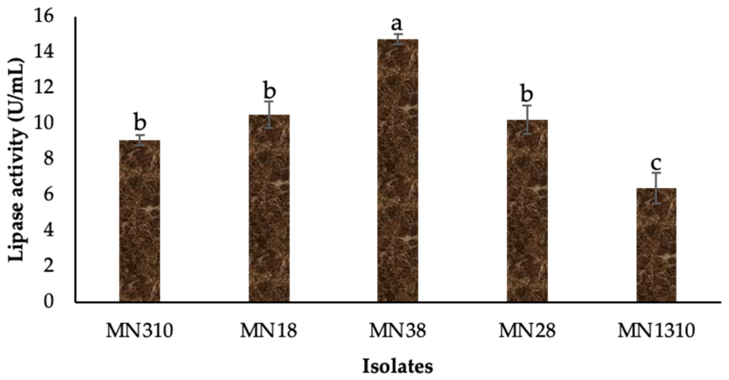 Fermentation 11 00225 g002